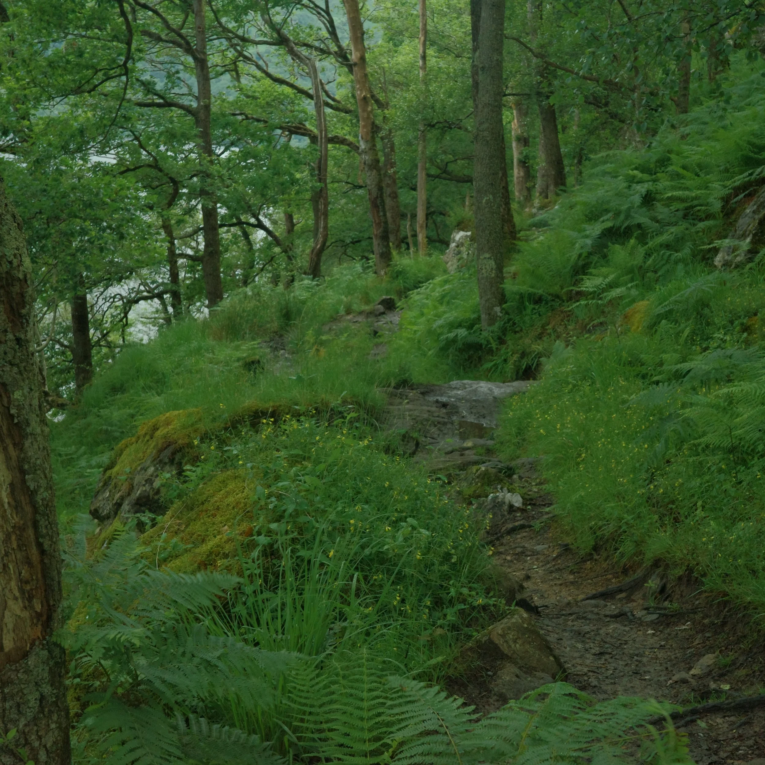 R0003839.JPG