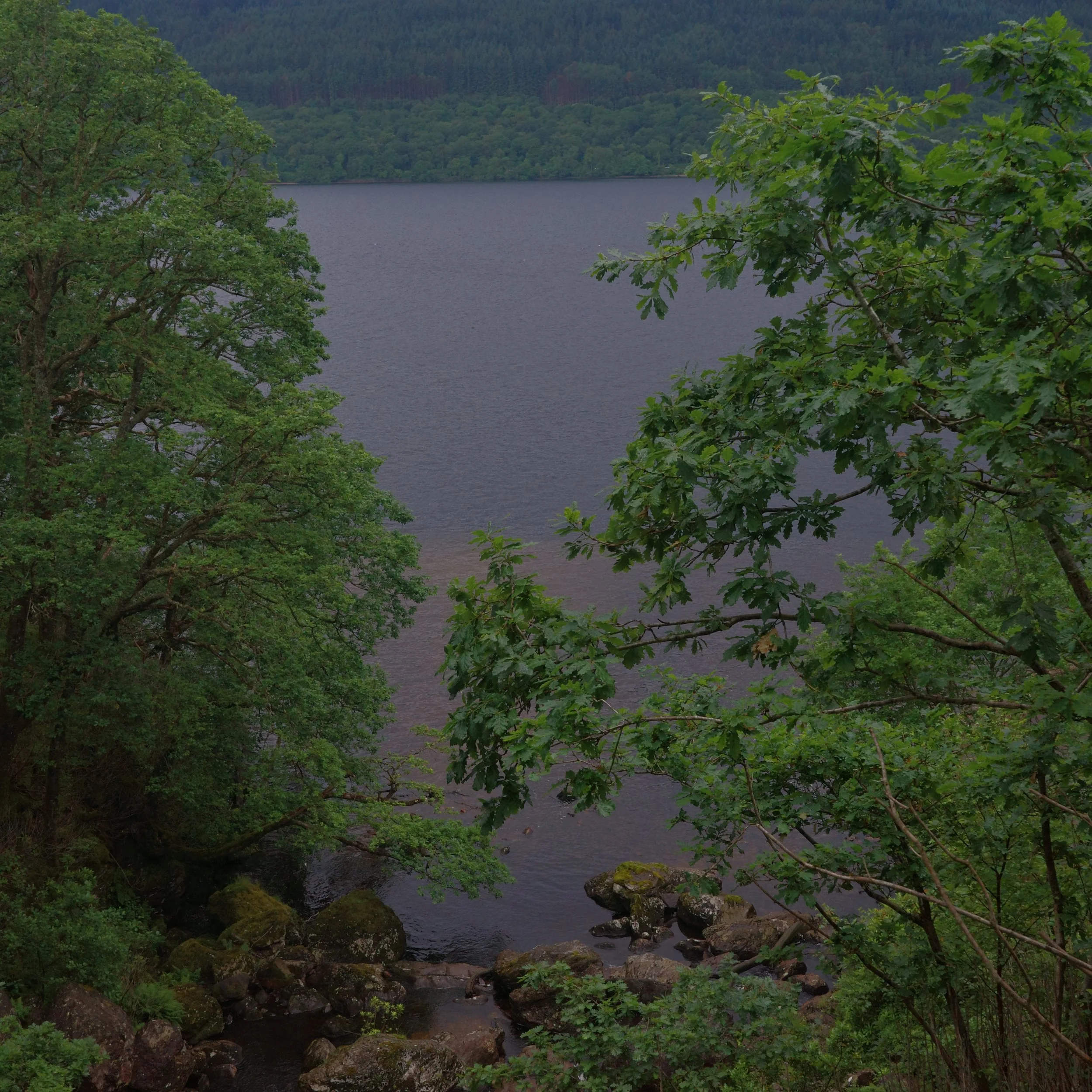 R0003835.JPG