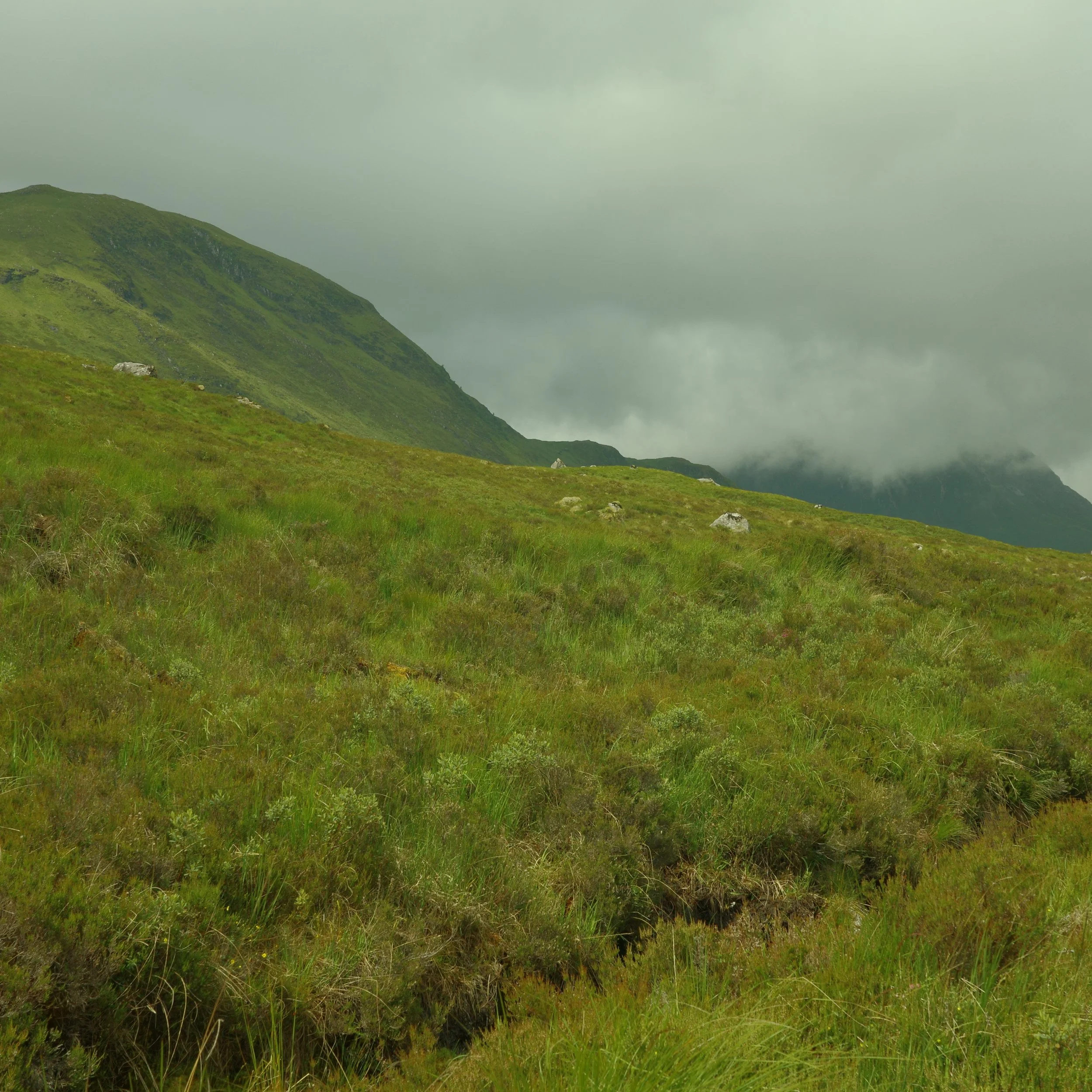 R0003942.JPG
