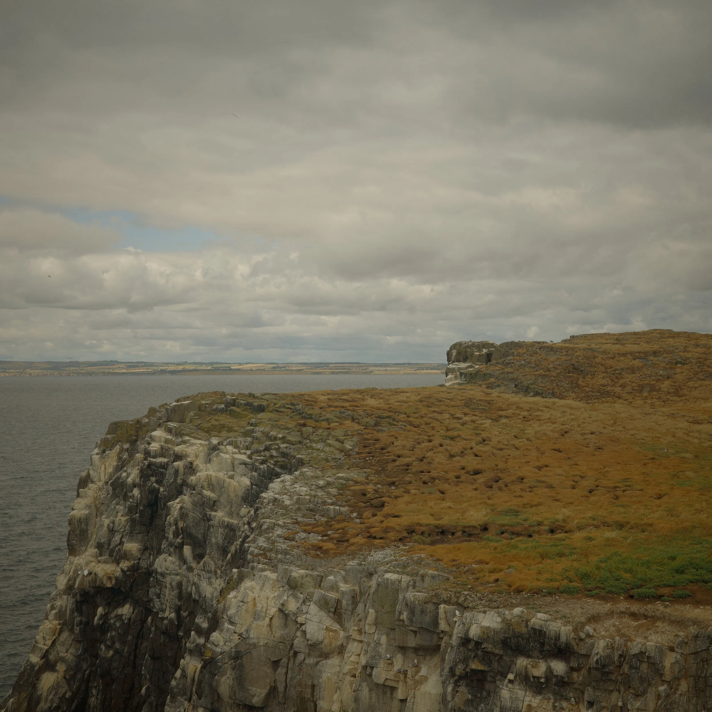 R0005019.JPG