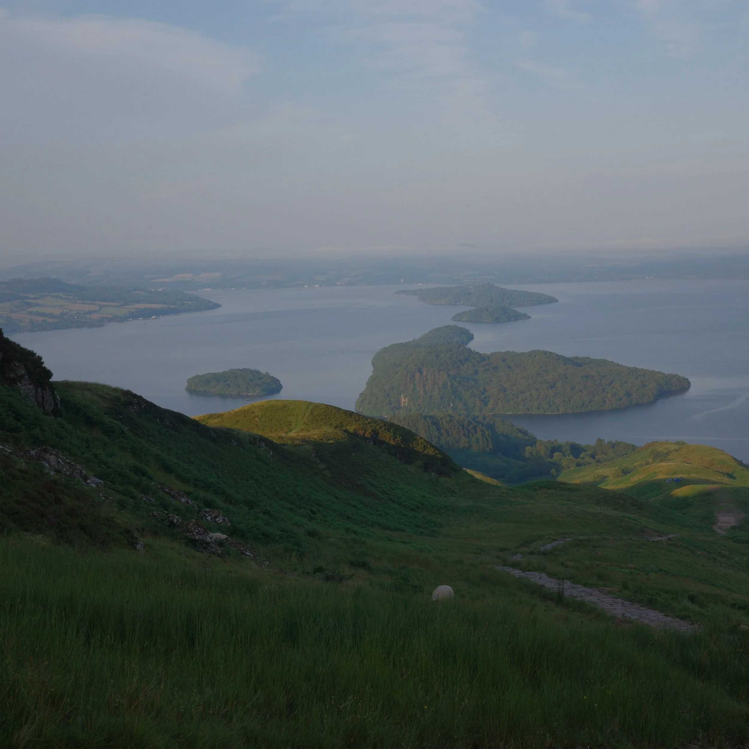 R0003783.JPG