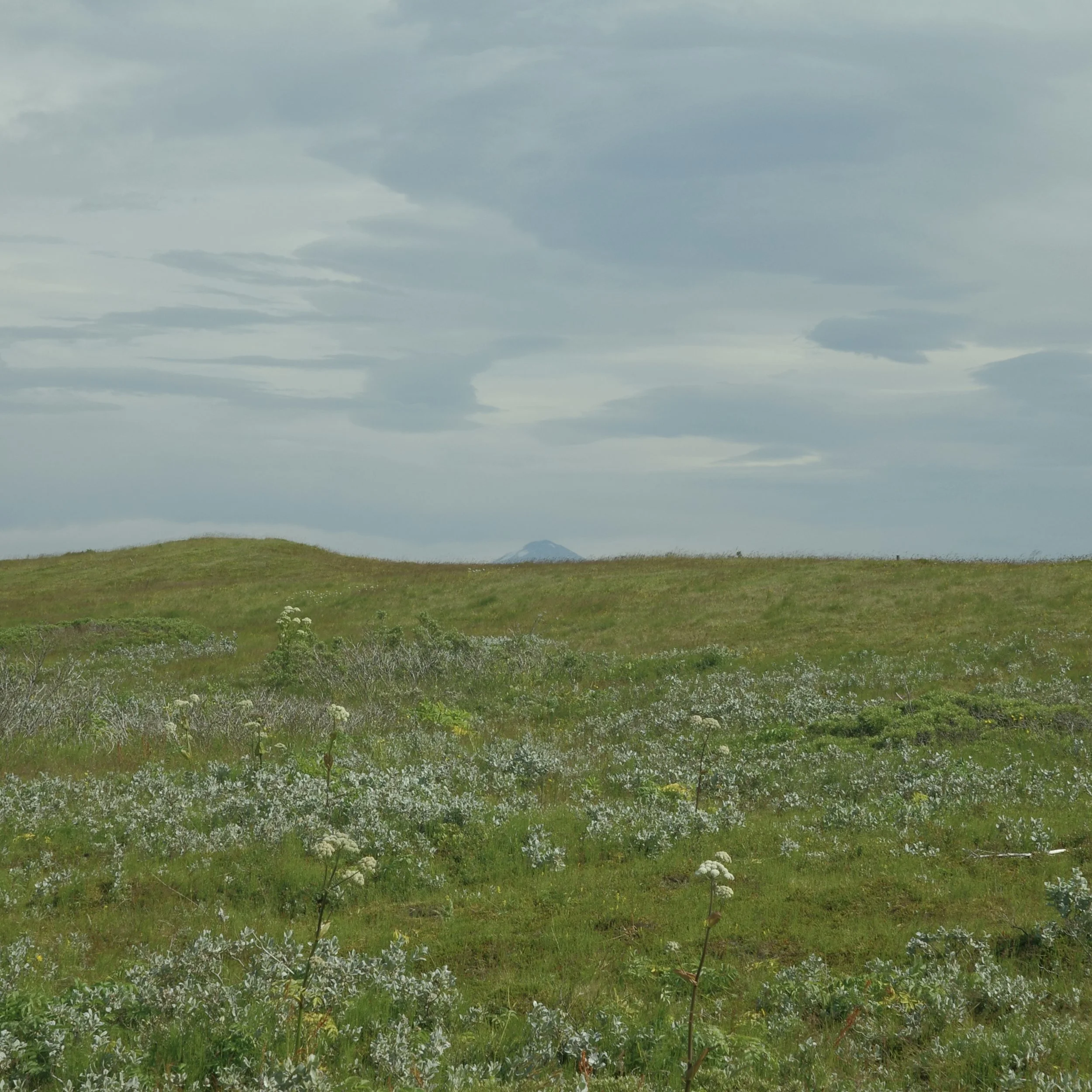 R0005316.jpg