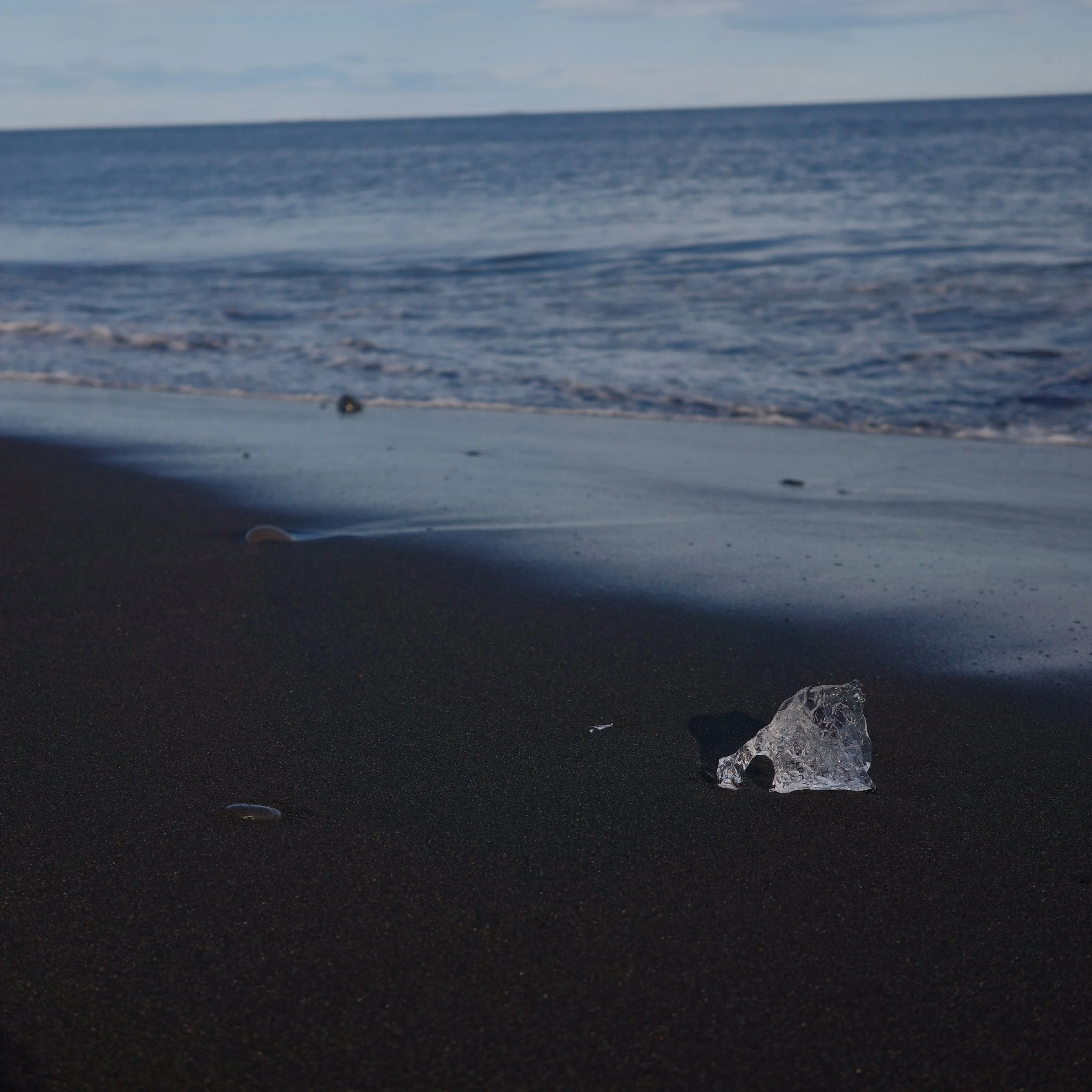 R0006016.JPG