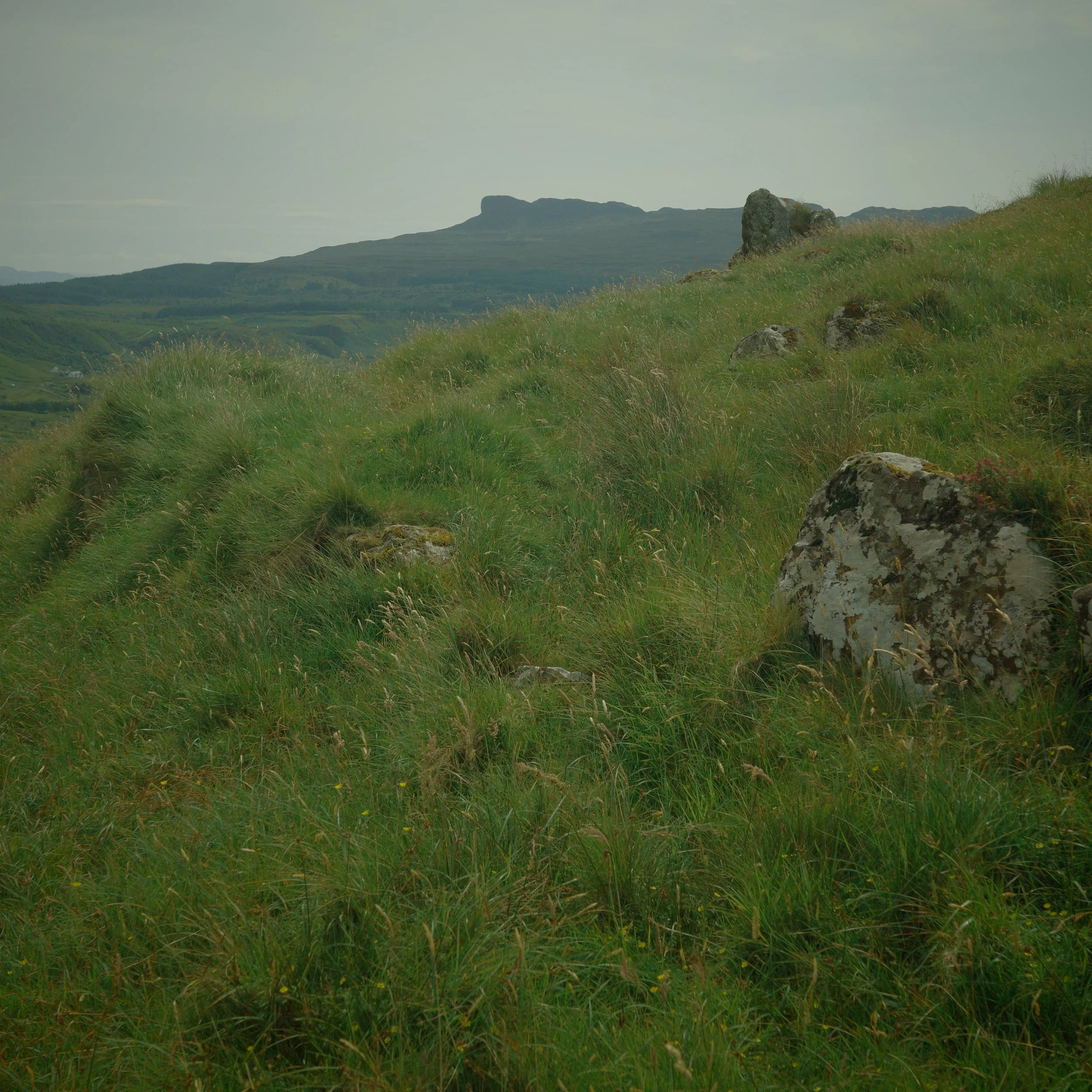 R0004697.JPG