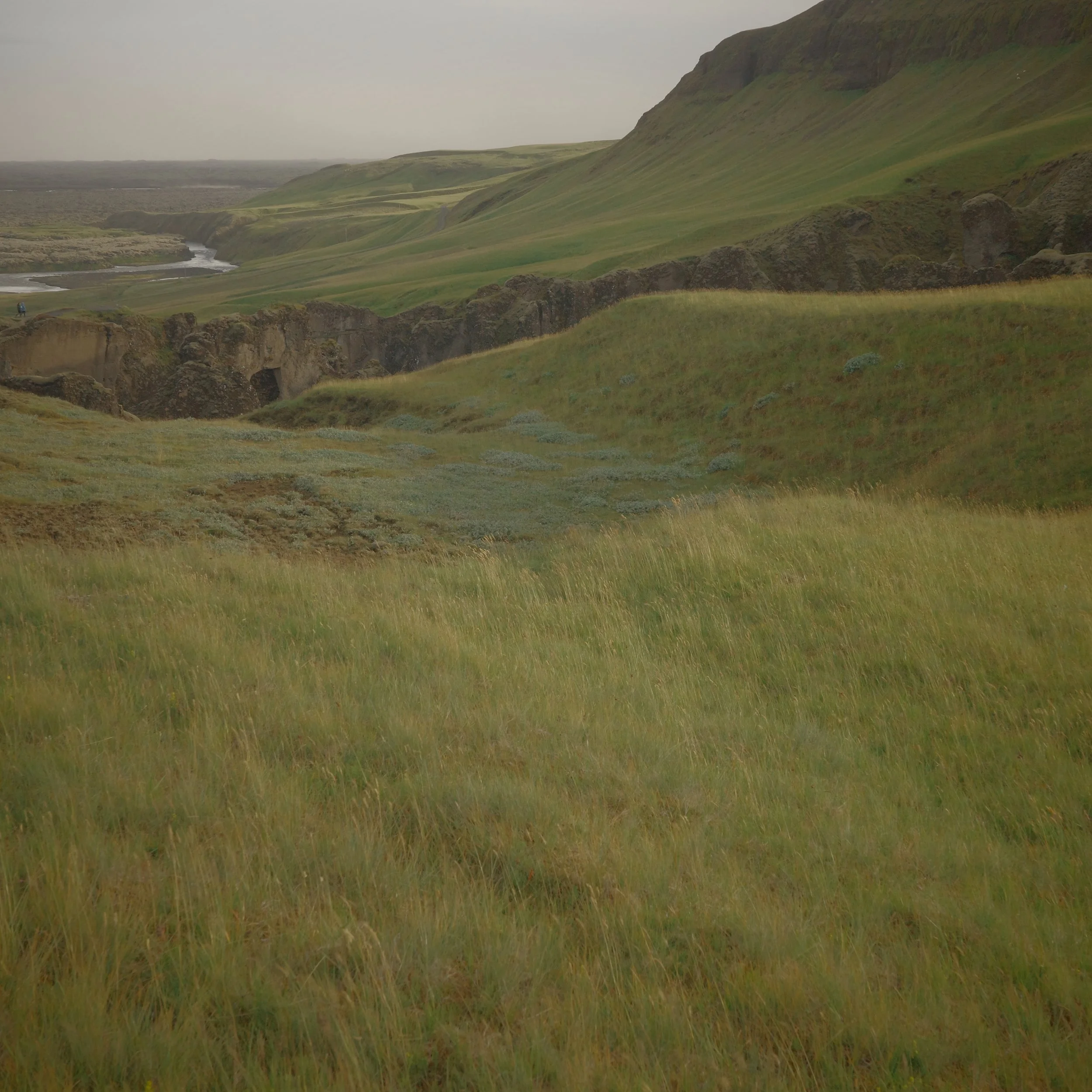 R0005560.JPG