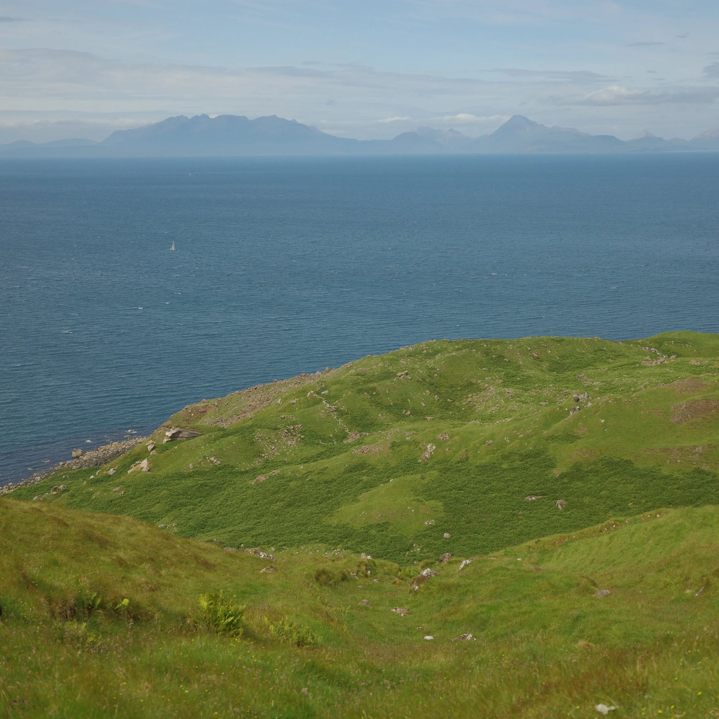R0004690.JPG