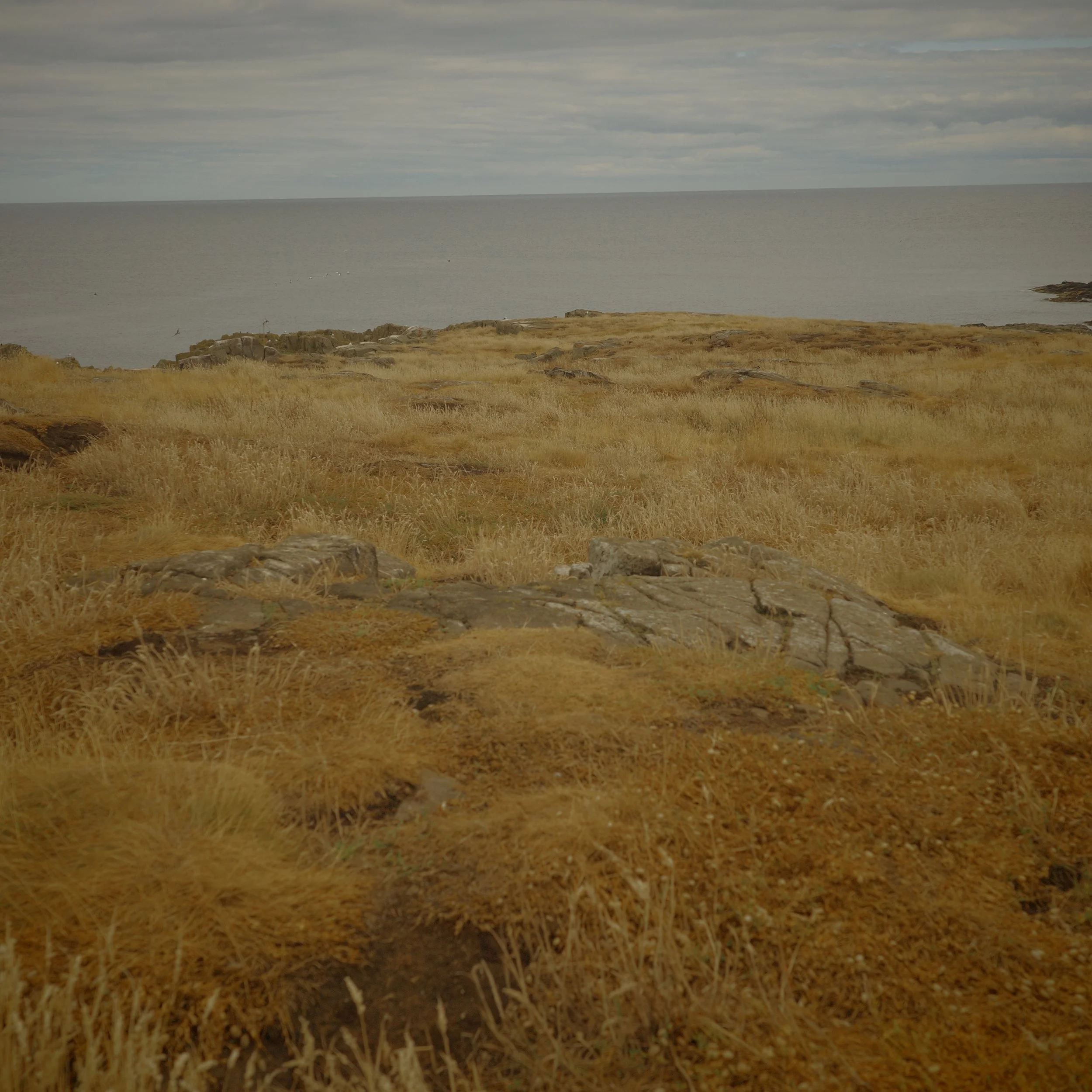 R0005091.JPG
