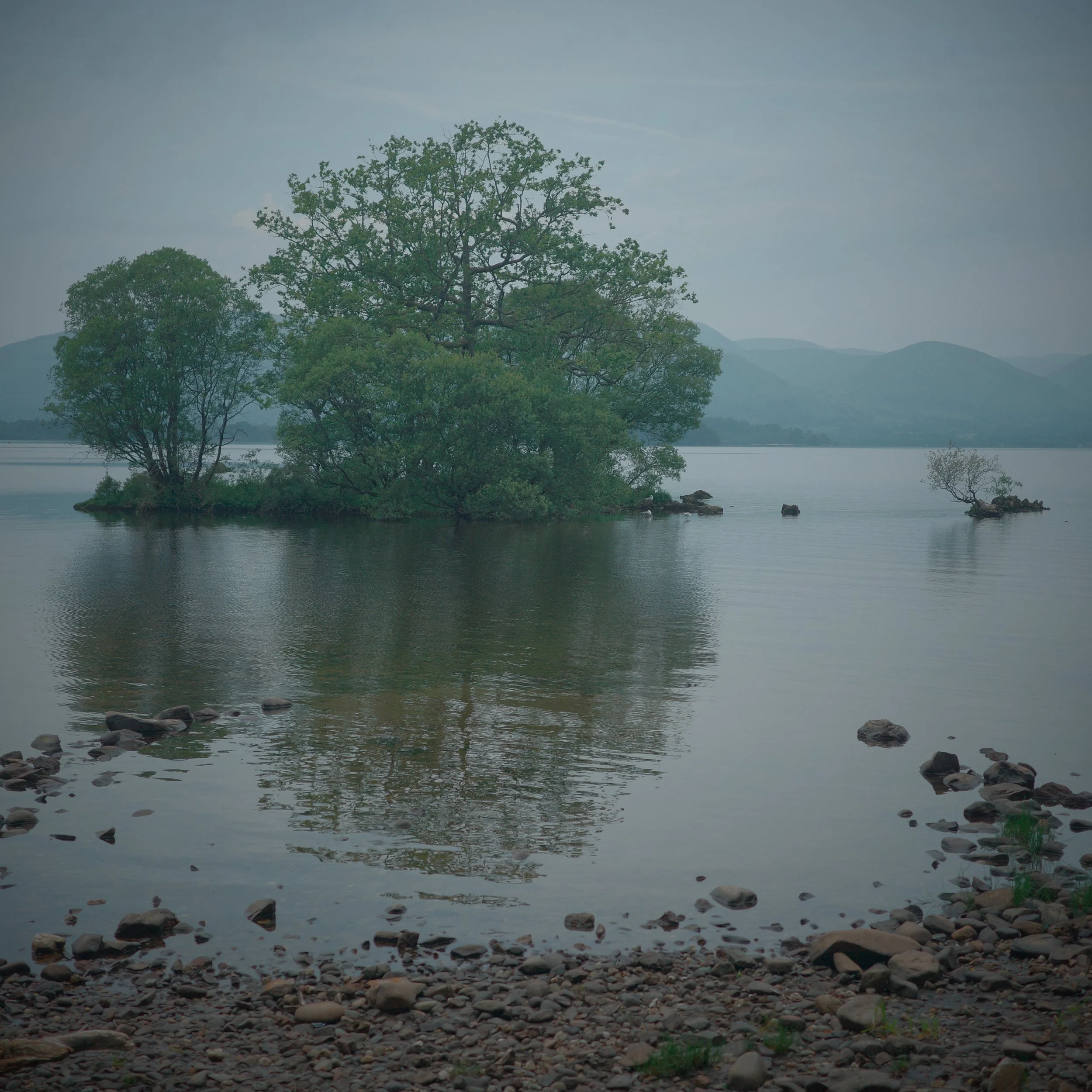 R0003794.JPG
