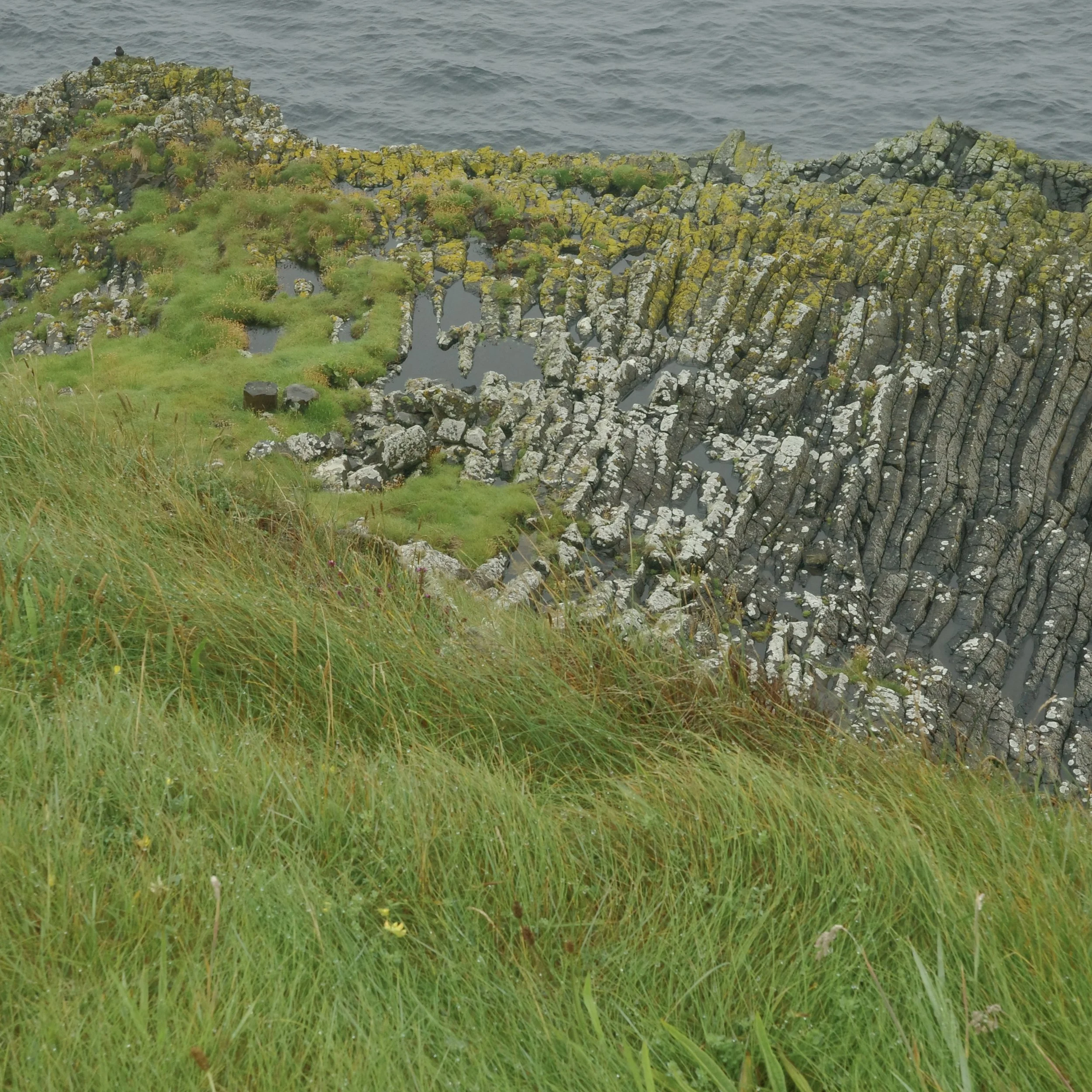 R0004031.jpg