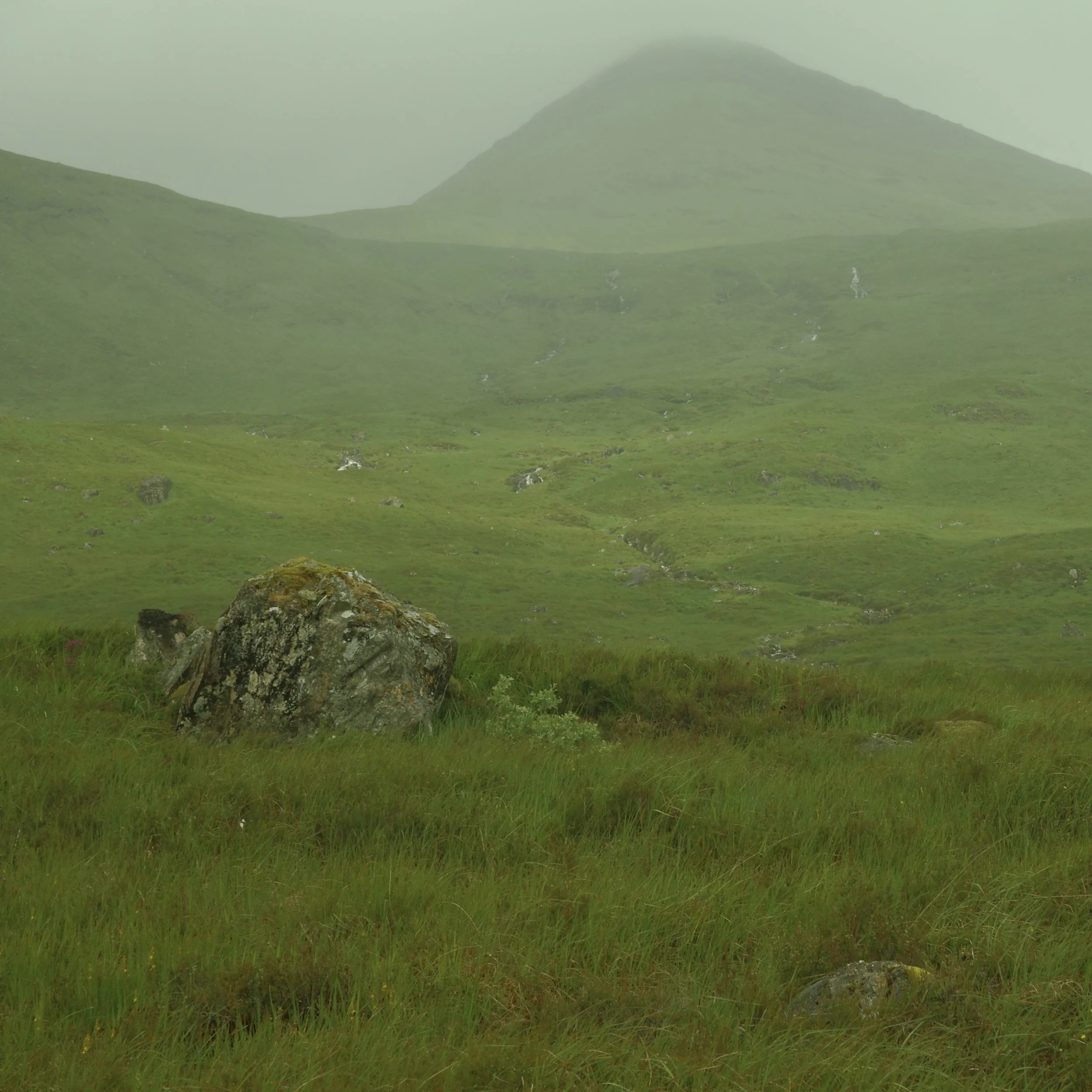 R0003929.jpg