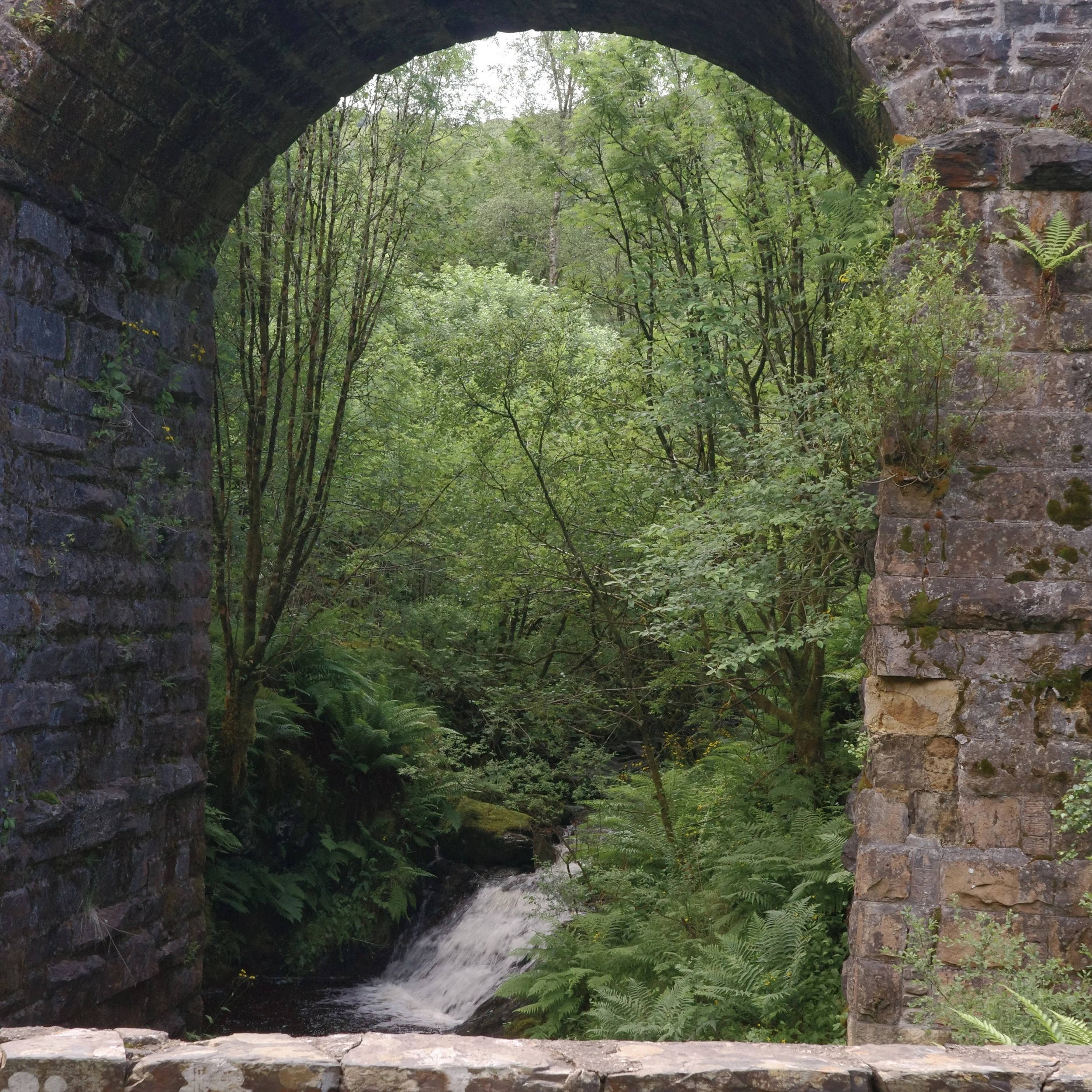R0003884.jpg