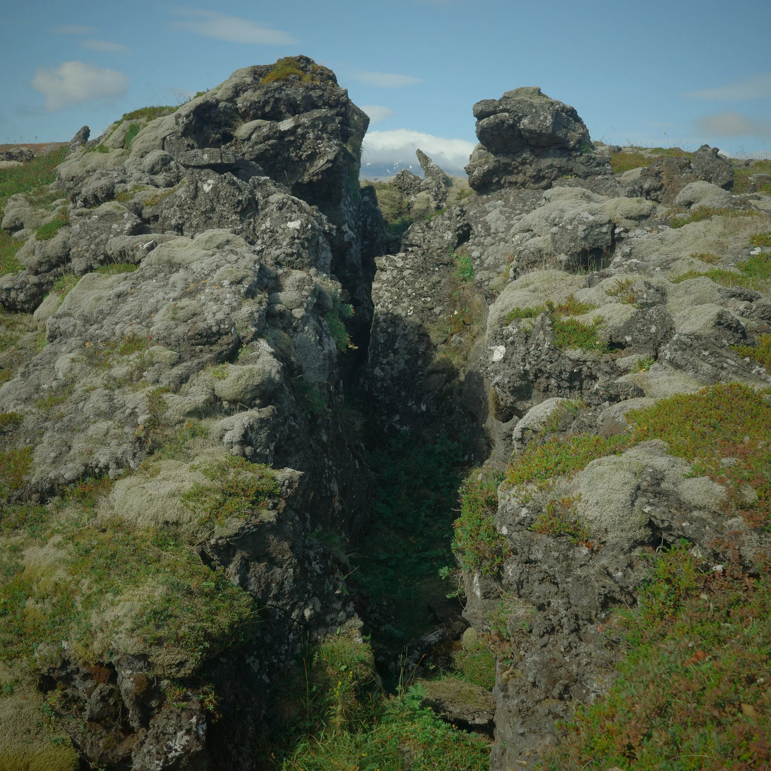 R0007517.JPG