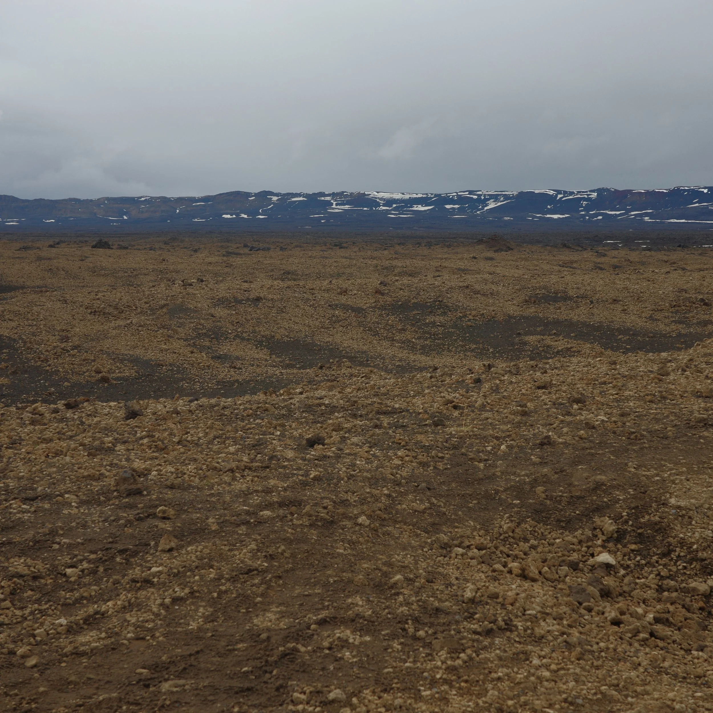 R0007219.JPG