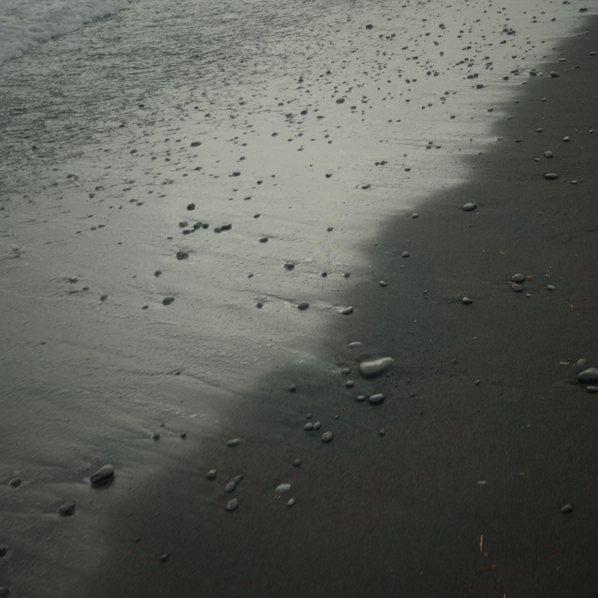 R0005491.JPG