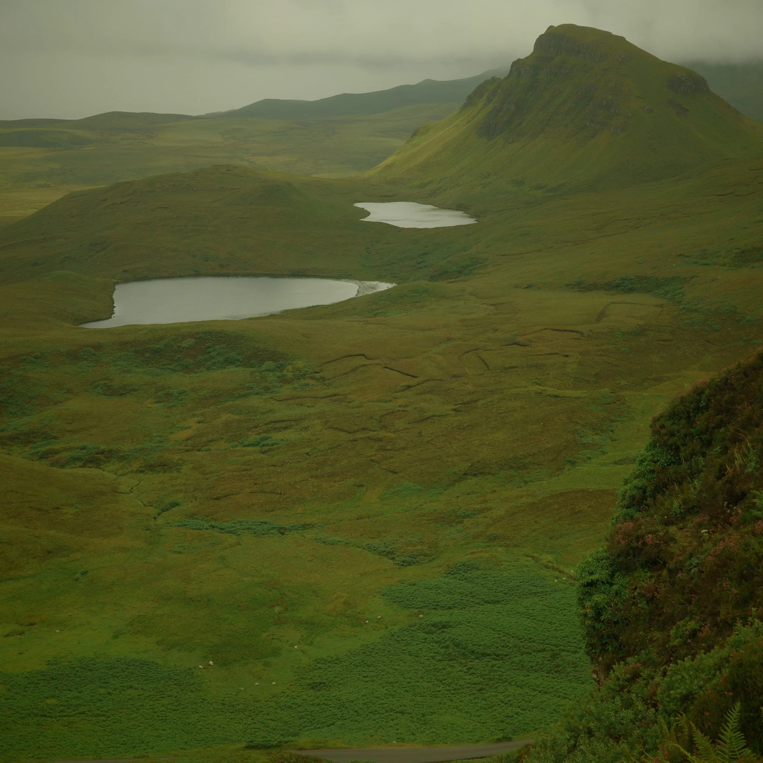 R0004917.JPG