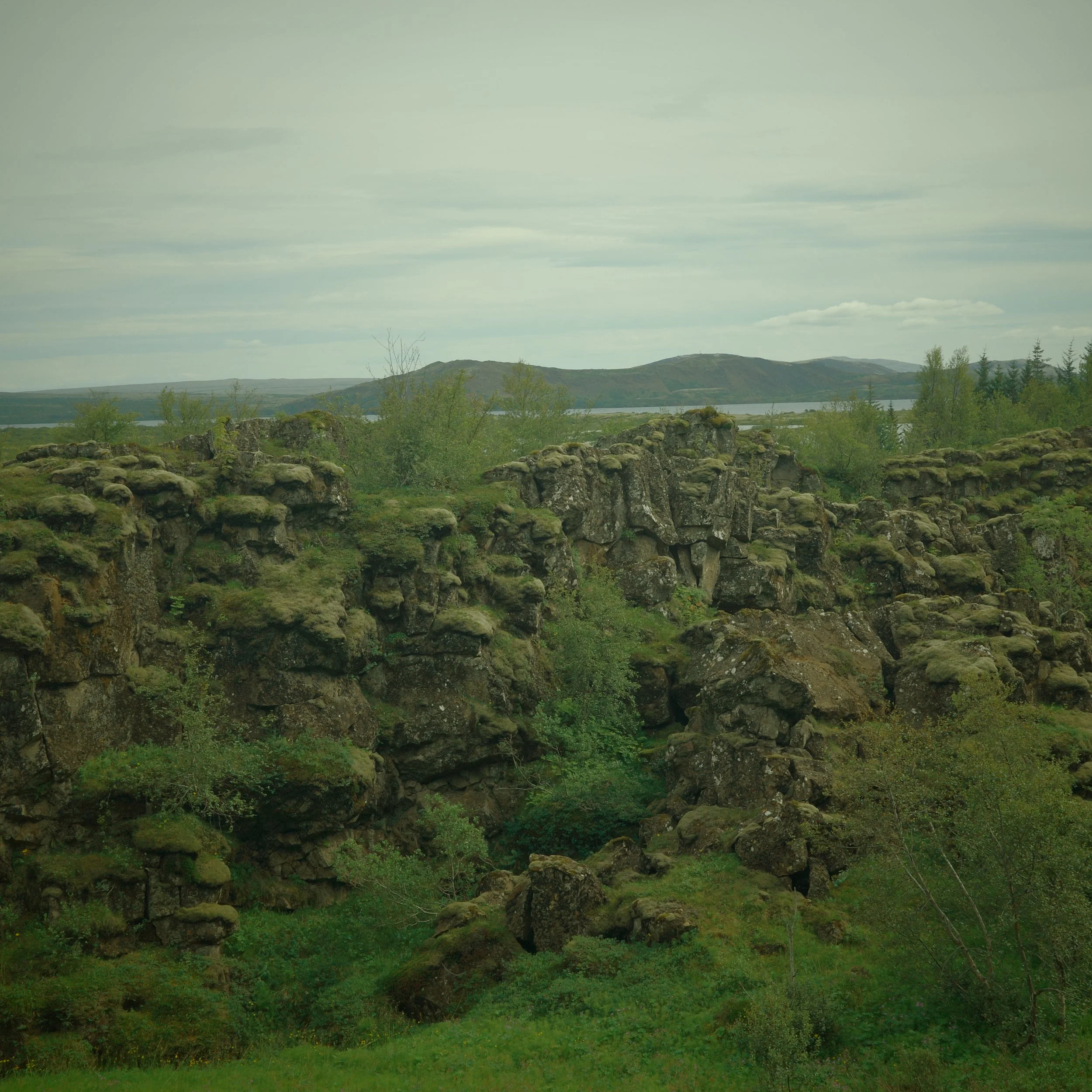 R0005158.JPG
