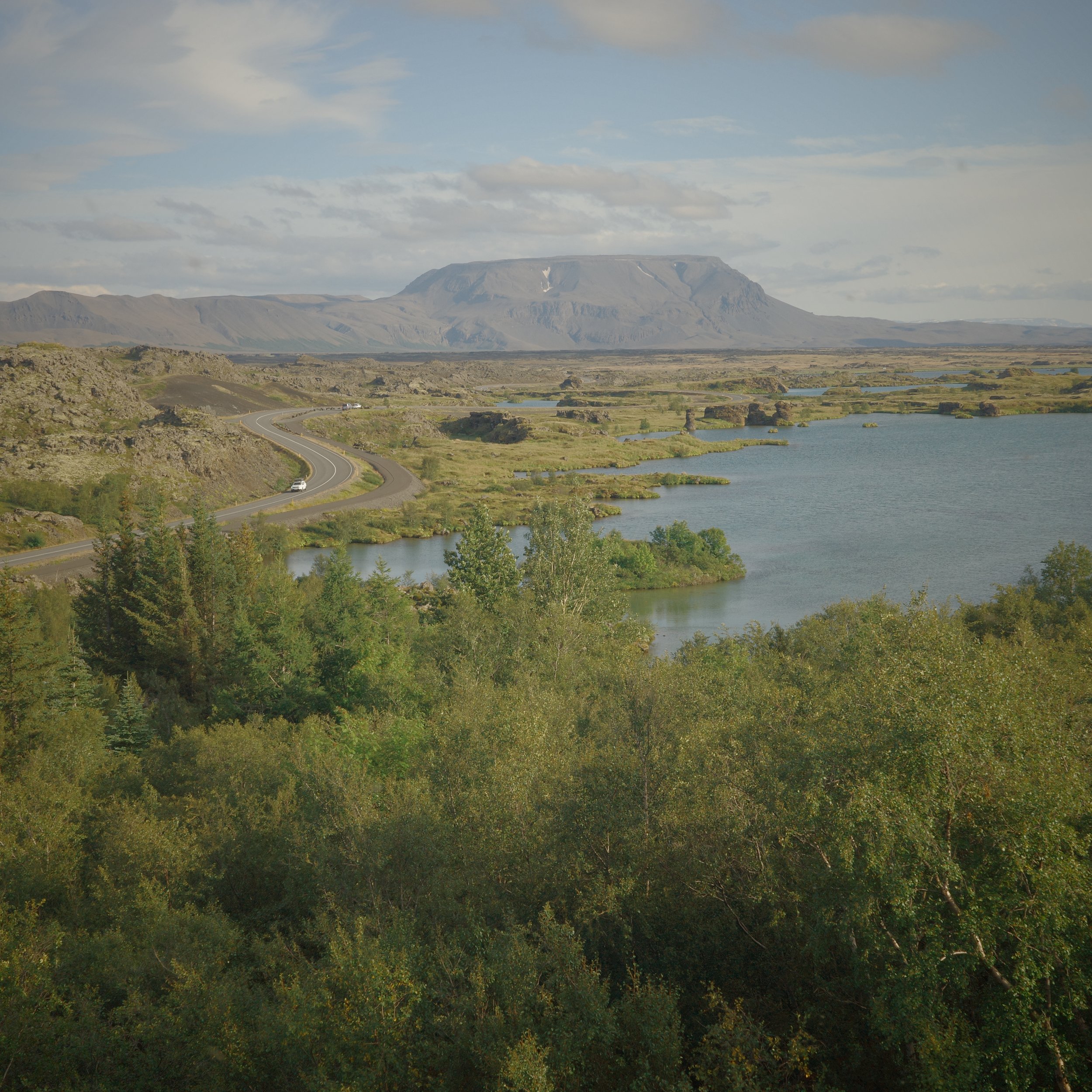 R0006971.JPG