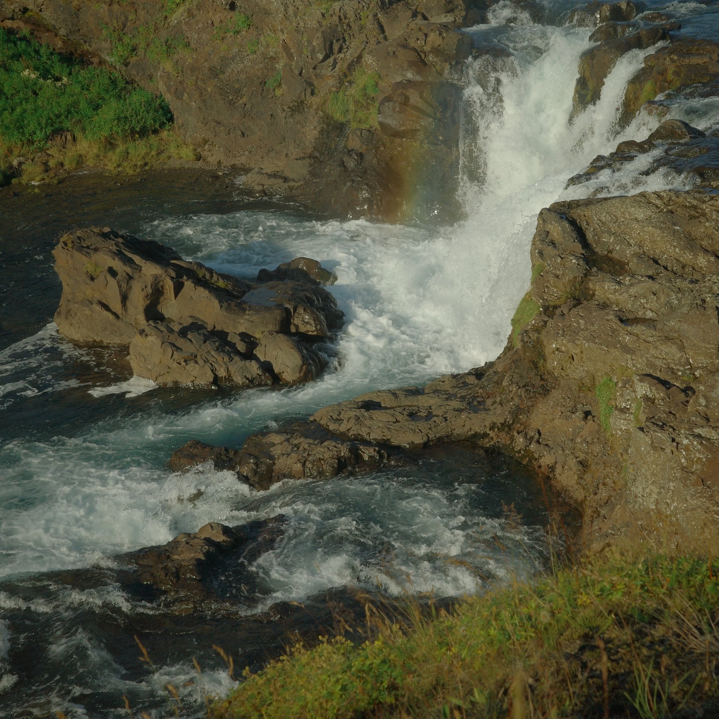 R0007720.JPG