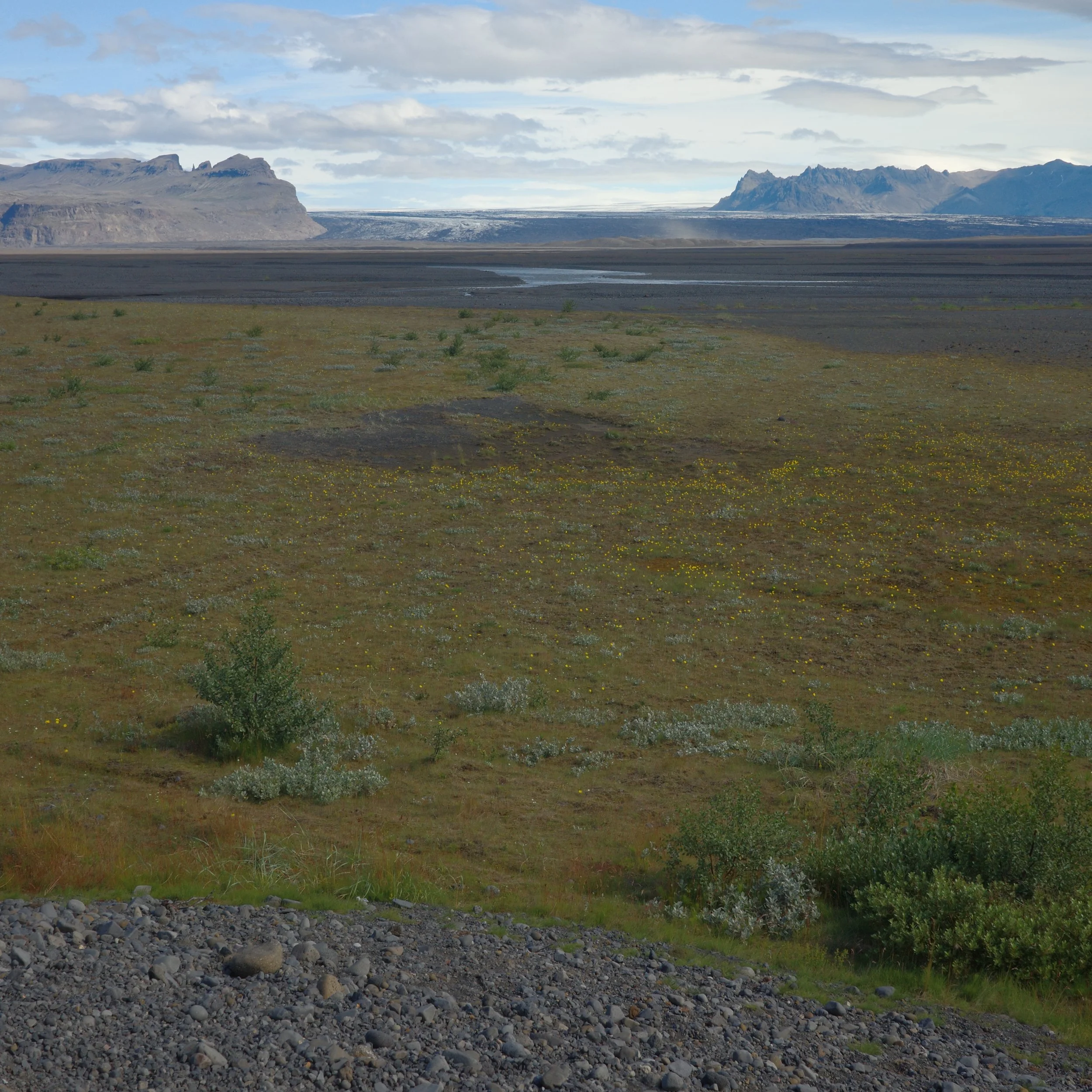 R0005718 2.JPG