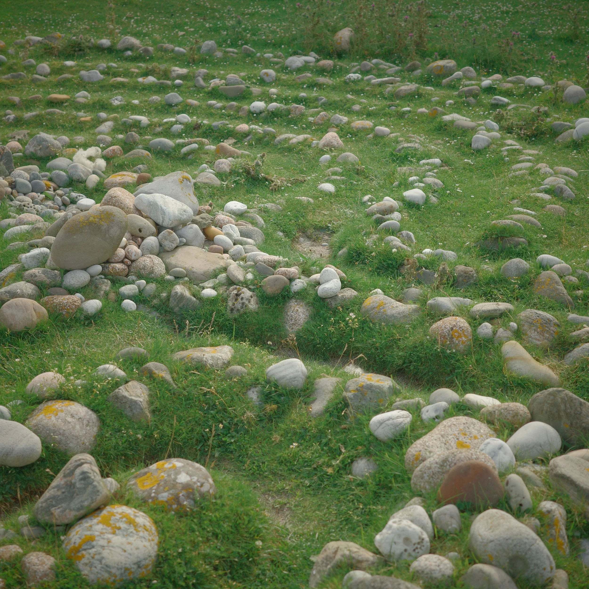 R0004255.JPG