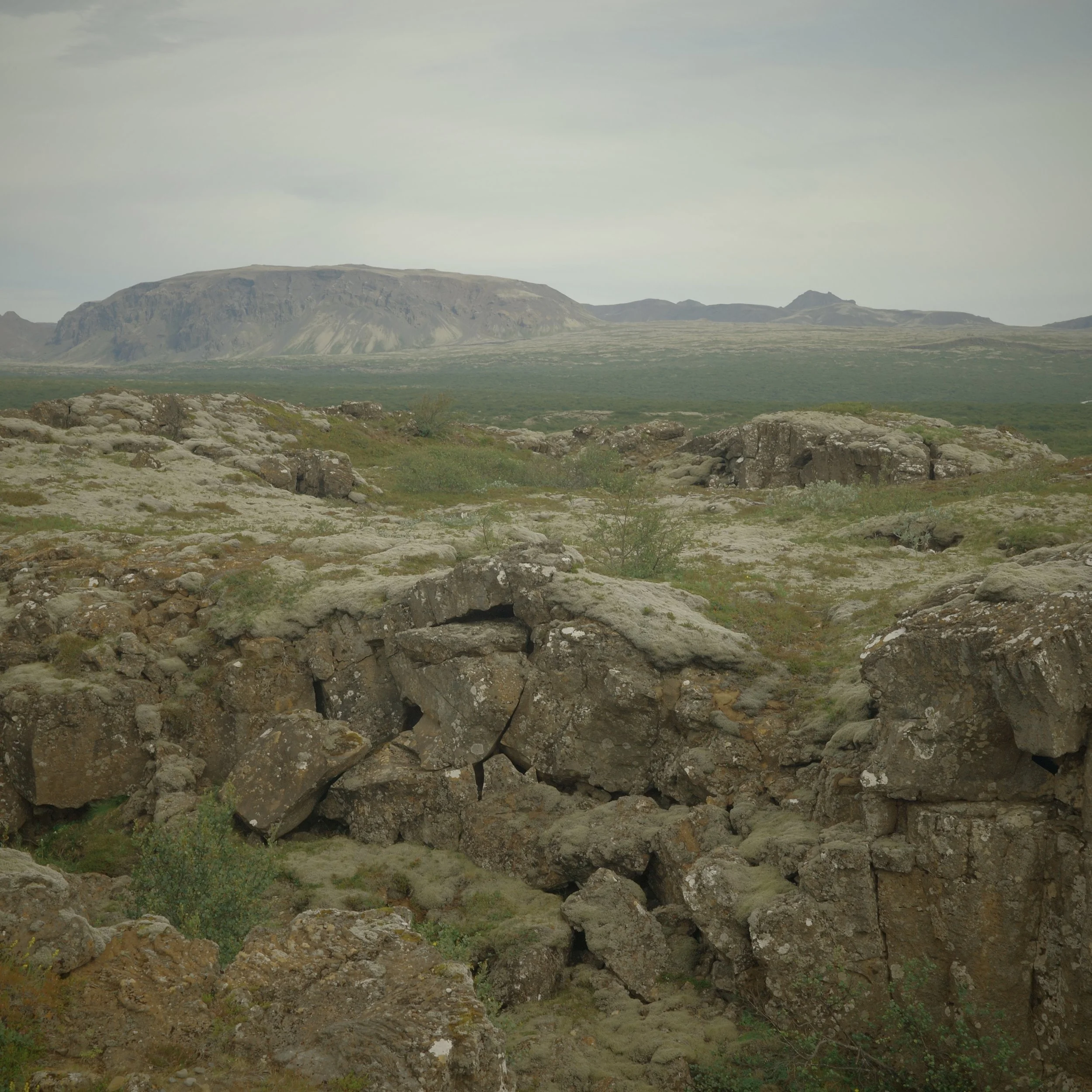 R0005203.jpg