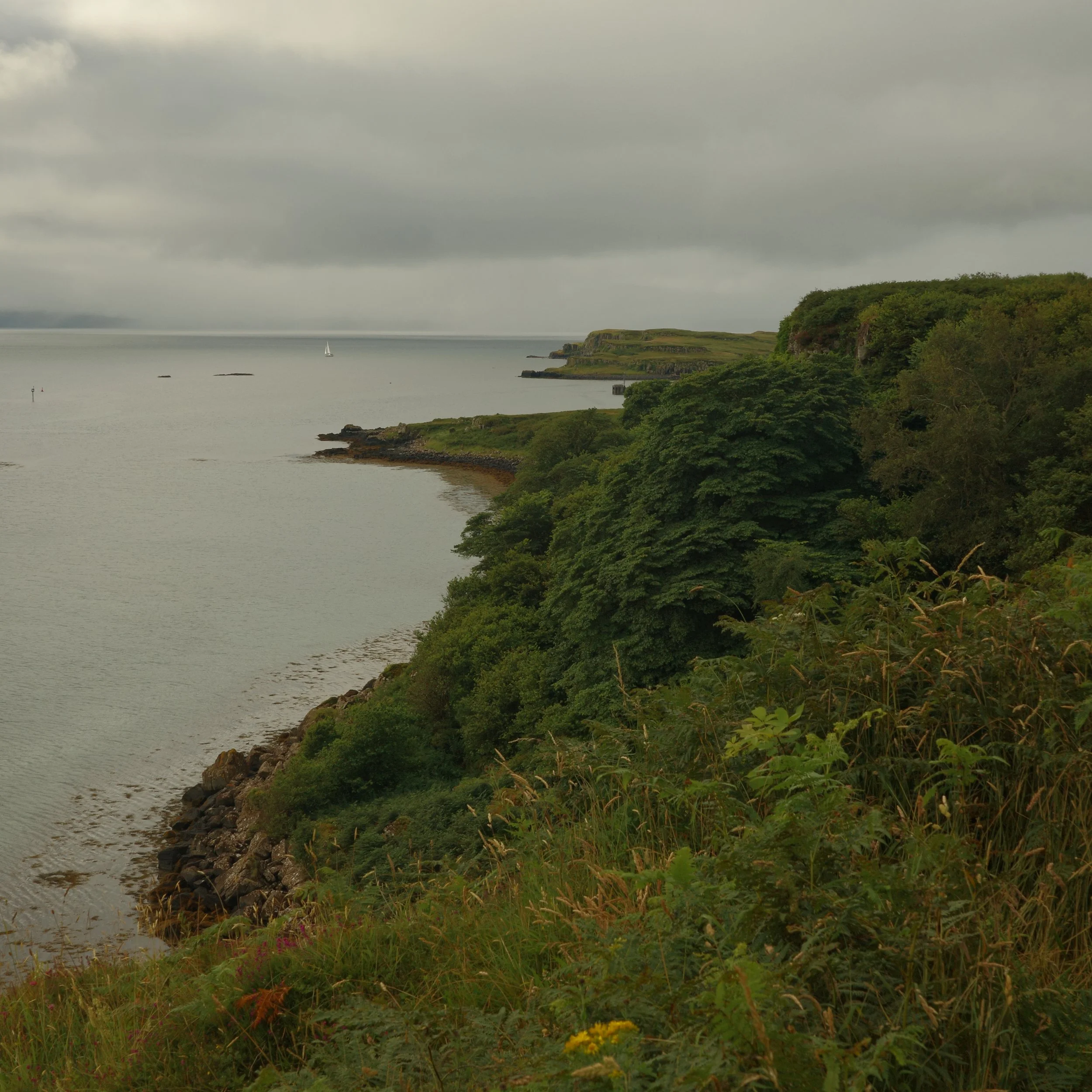 R0004716.JPG