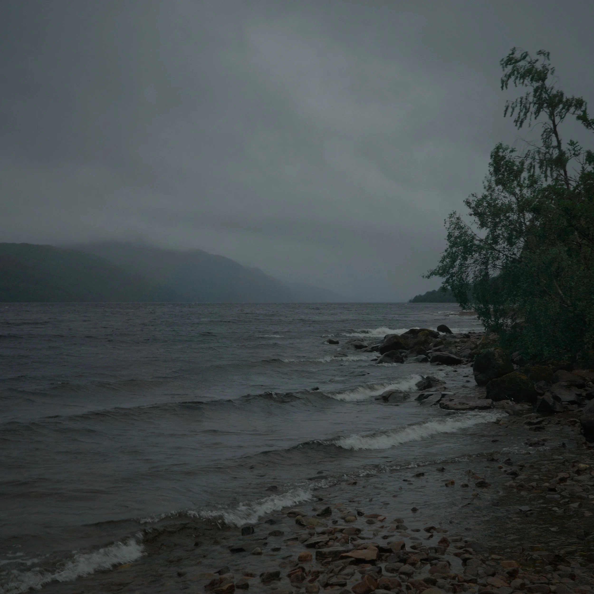 R0004947.JPG
