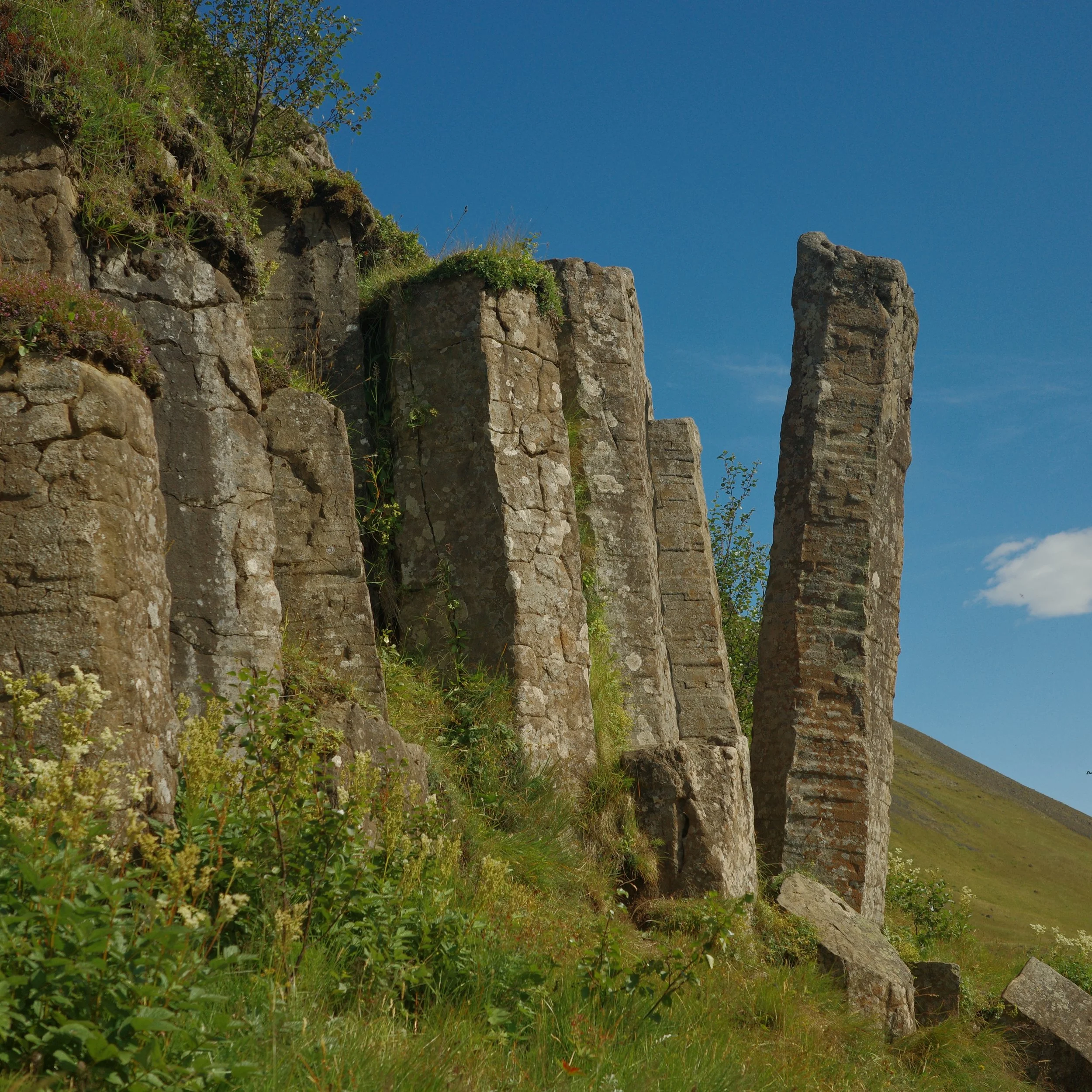 R0005707 2.JPG