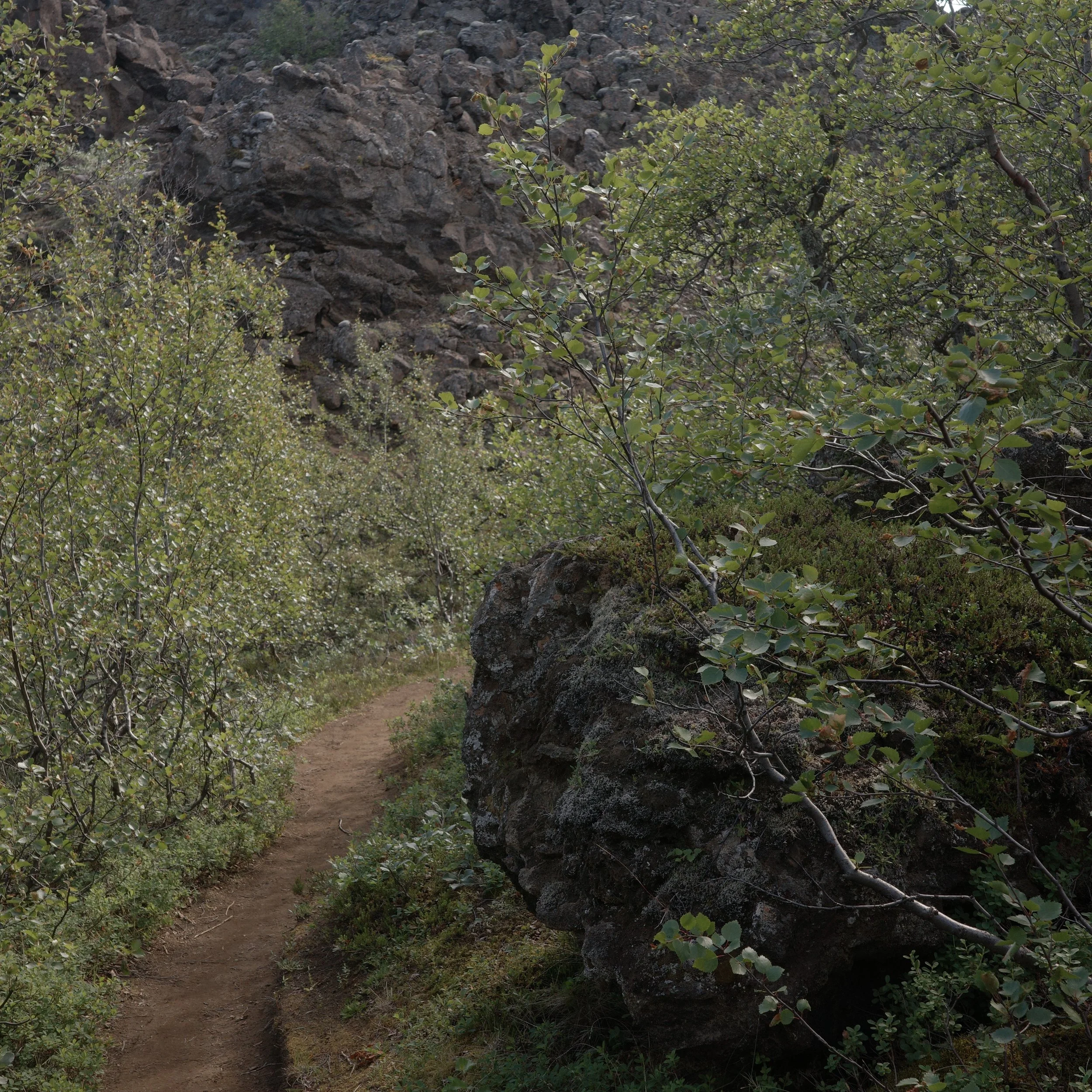 R0006741.JPG