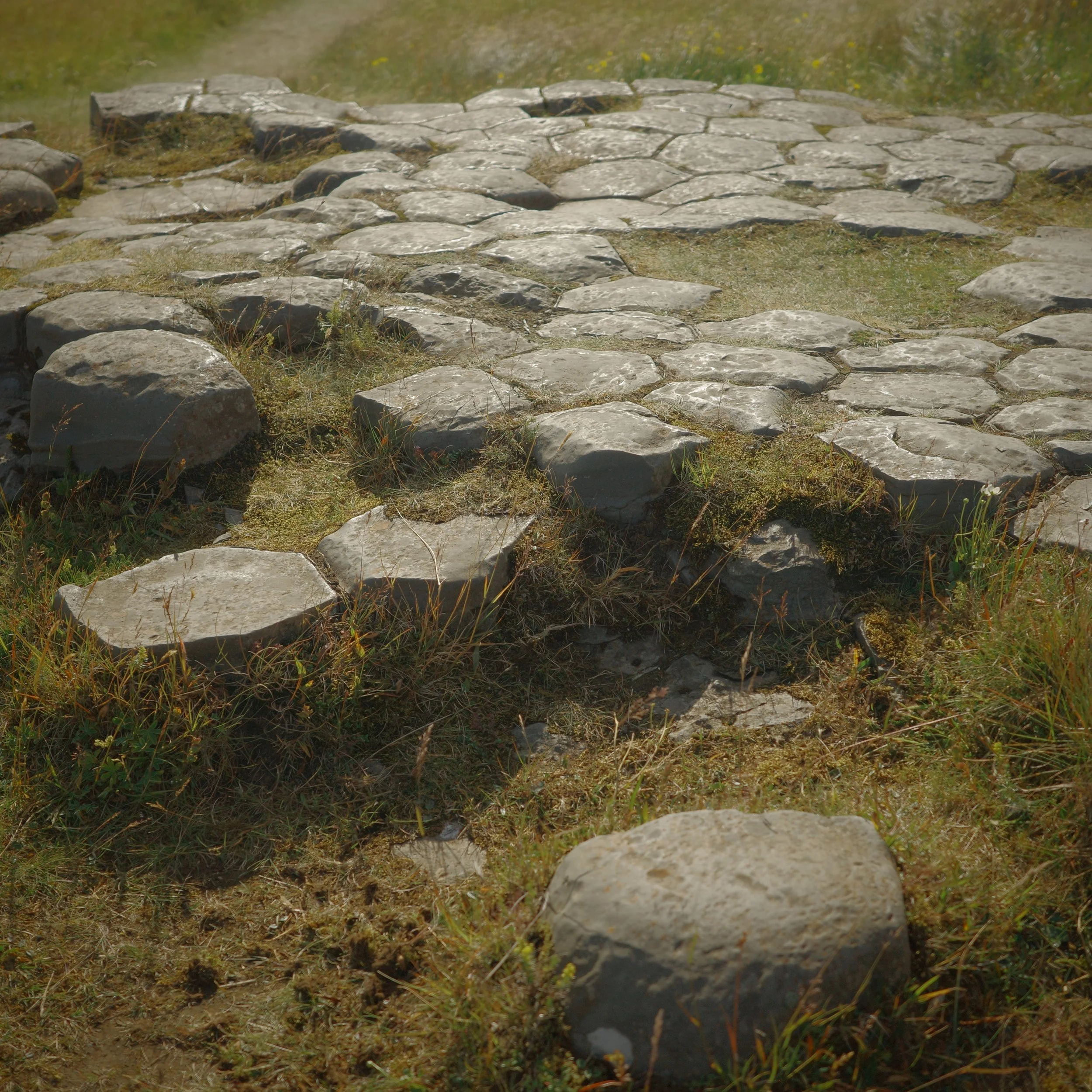 R0005640 2.JPG