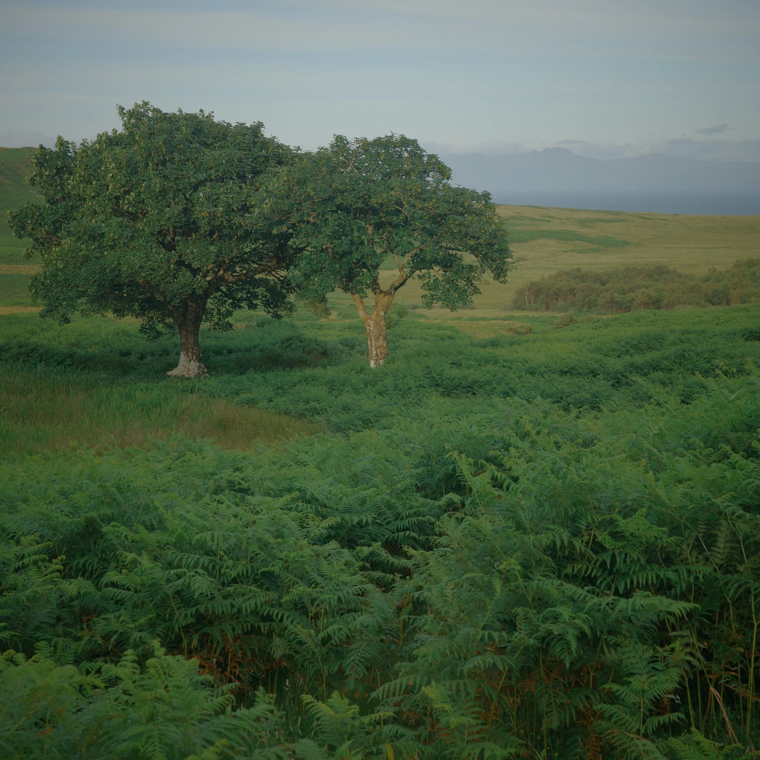 R0004661.JPG