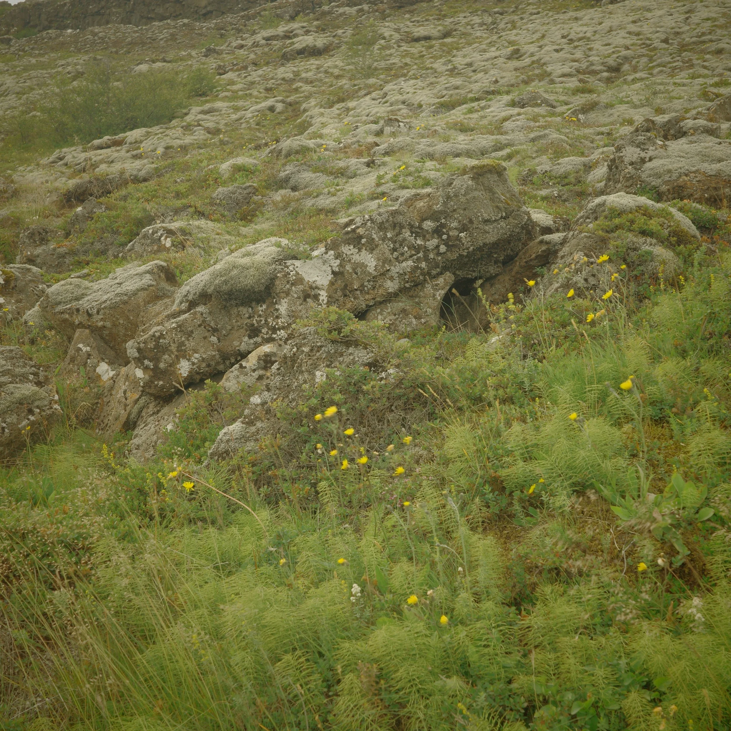 R0005171.JPG