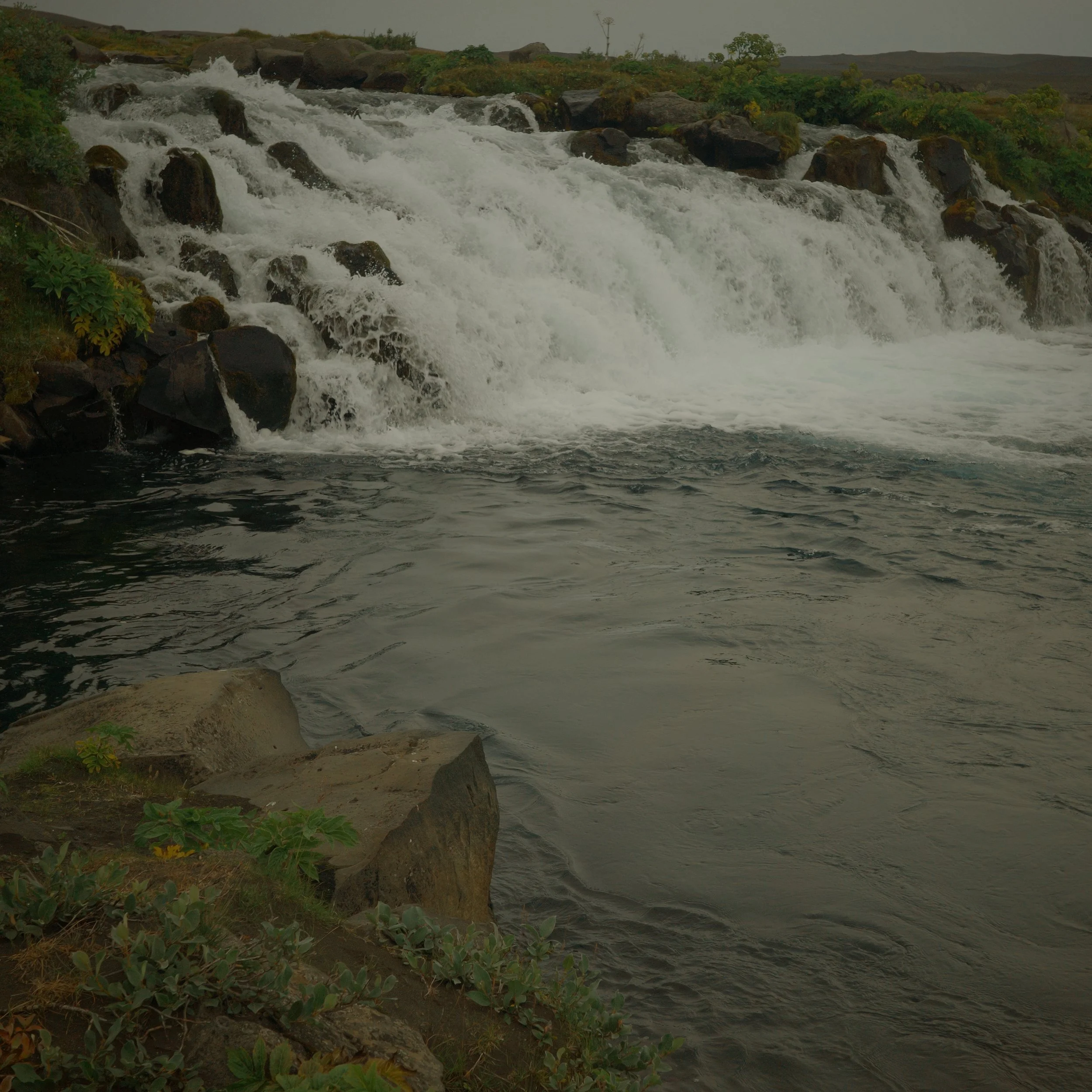 R0007026.JPG