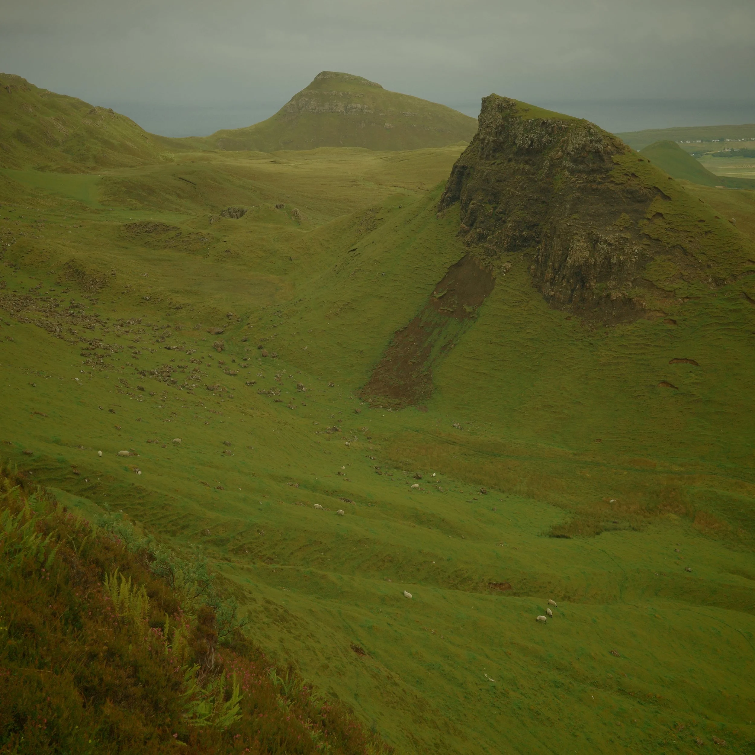 R0004916.JPG