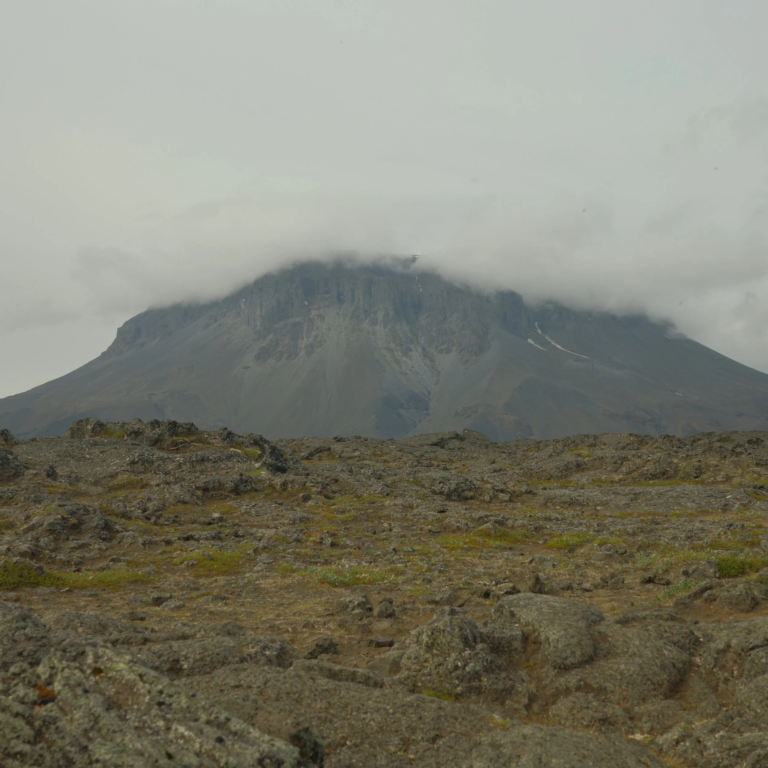 R0007061.JPG