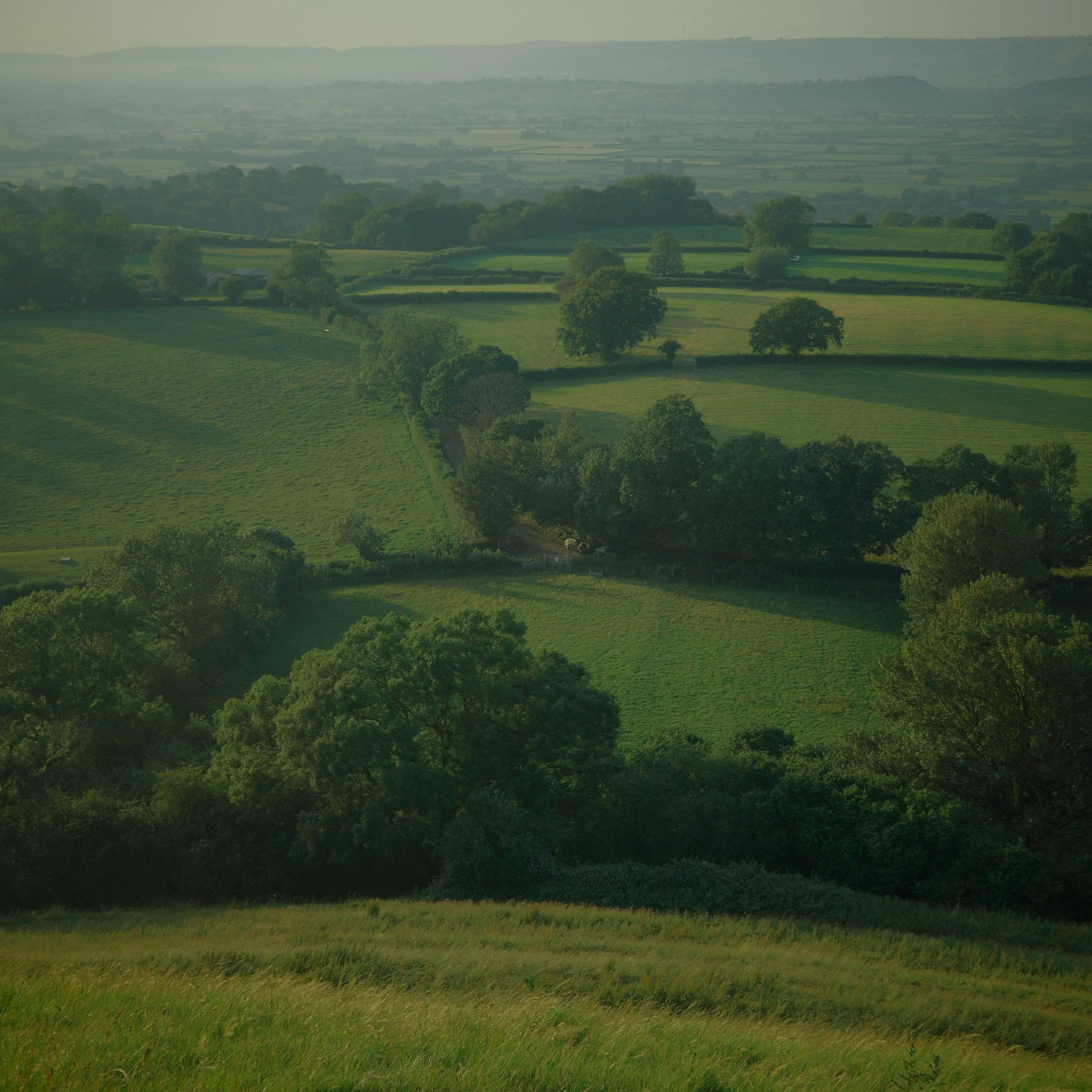 R0003735.JPG