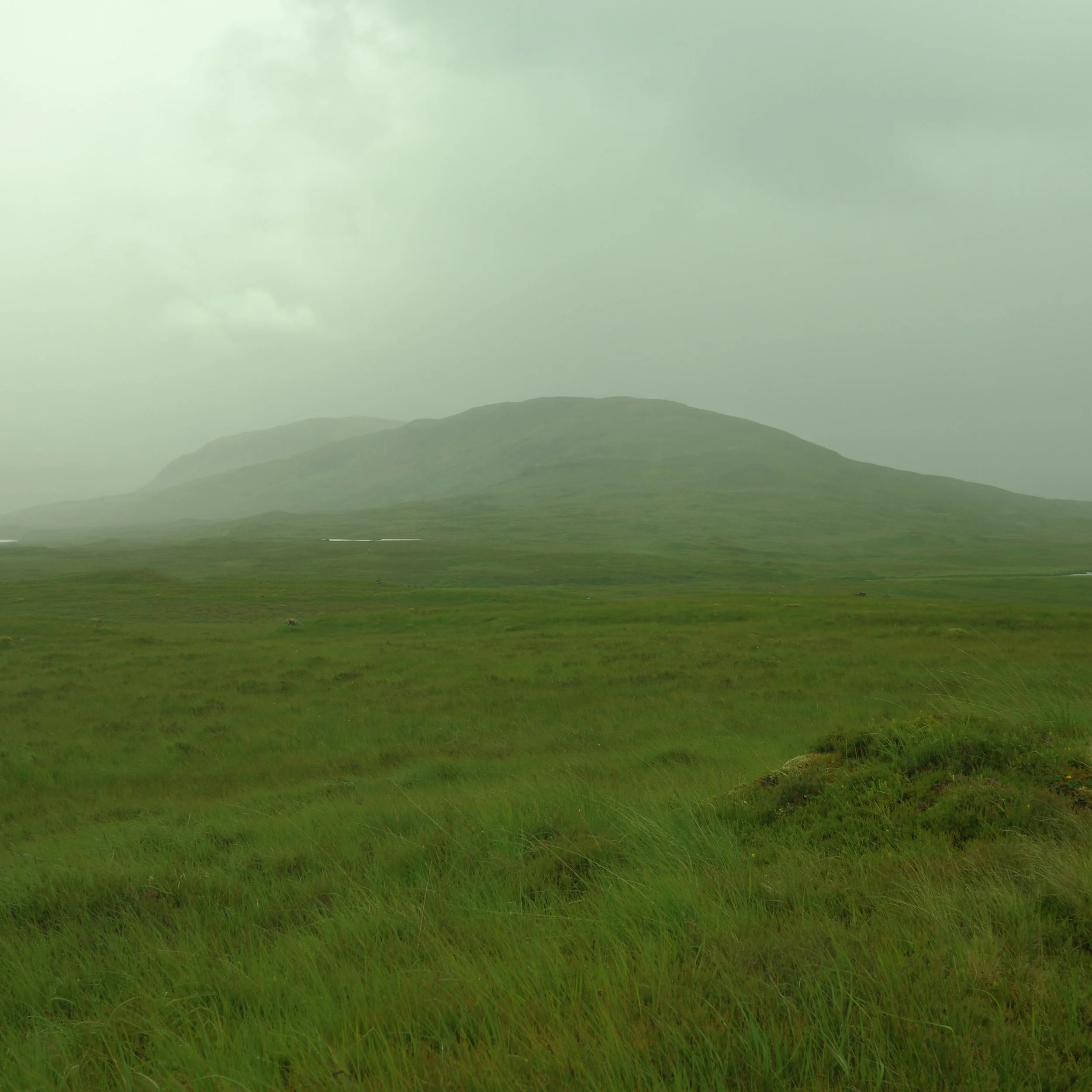 R0003927.JPG