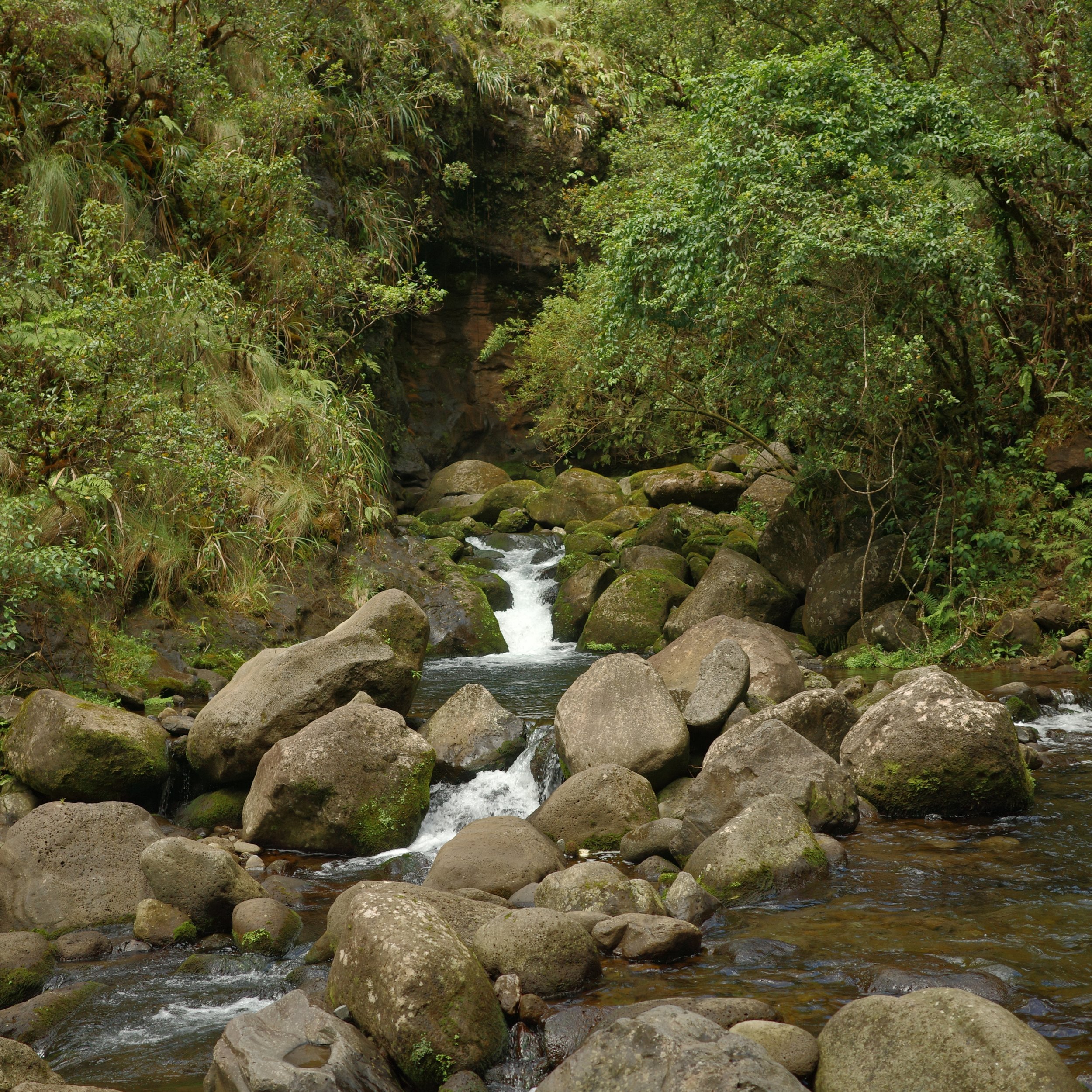 R0003584.JPG