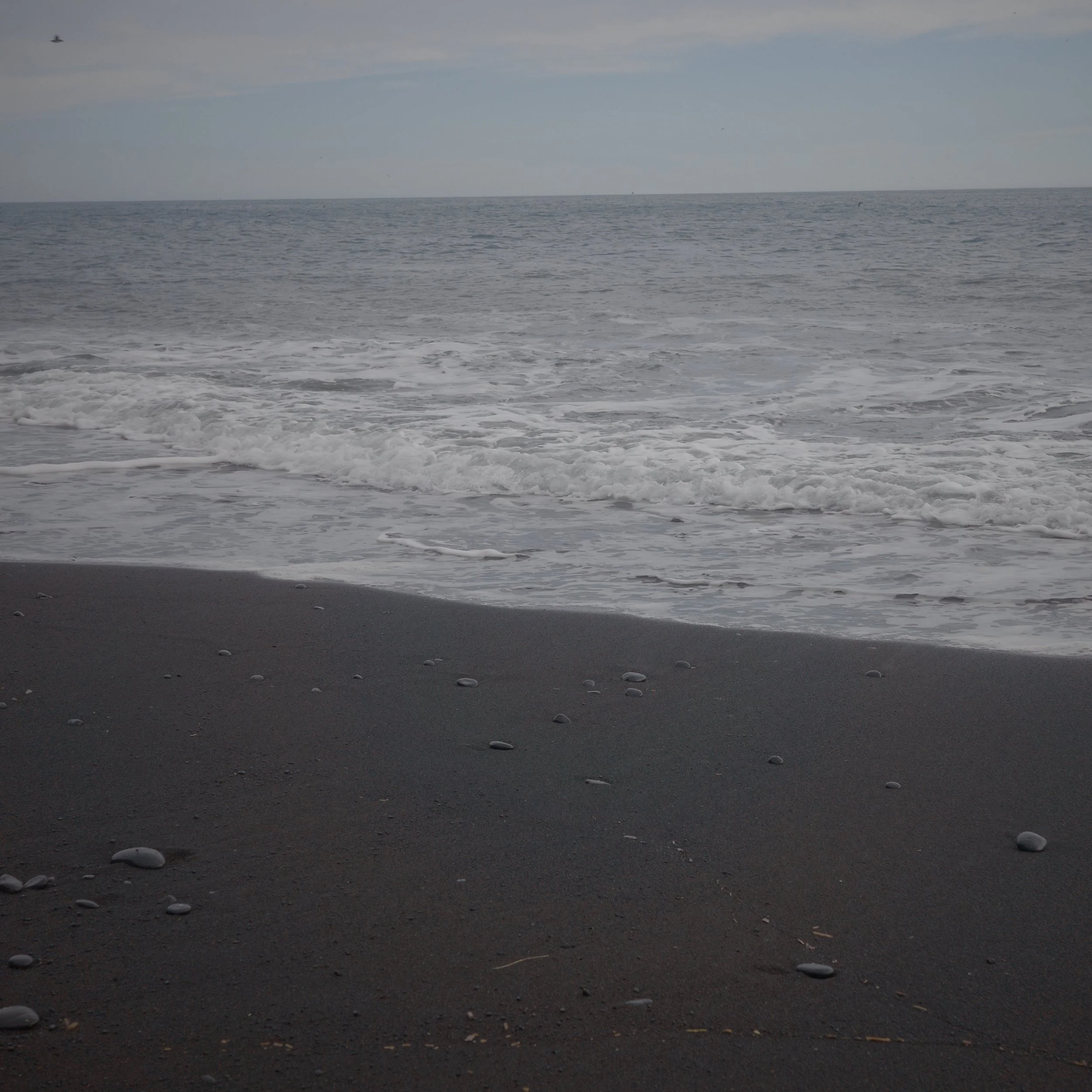R0005460.JPG