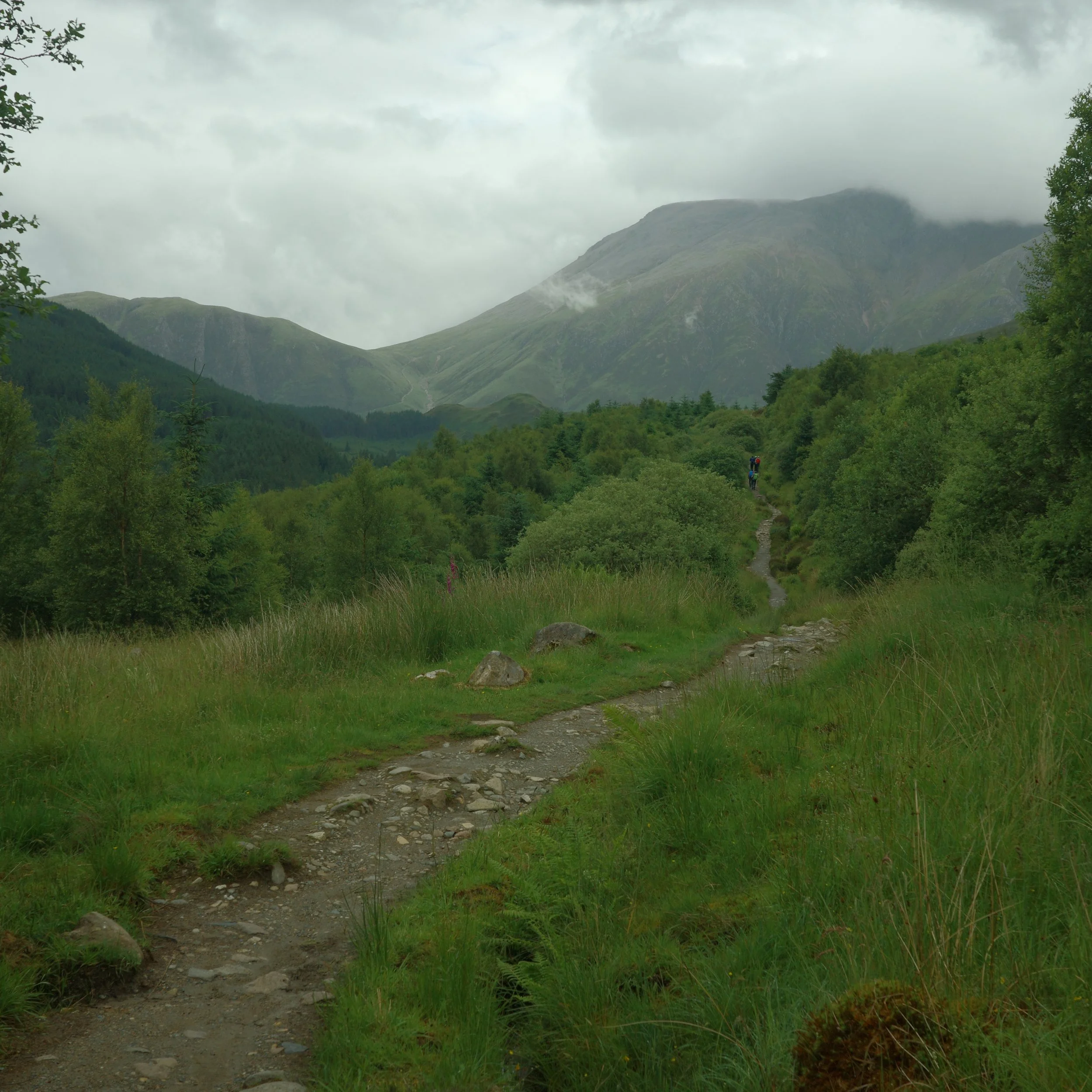 R0003984.JPG