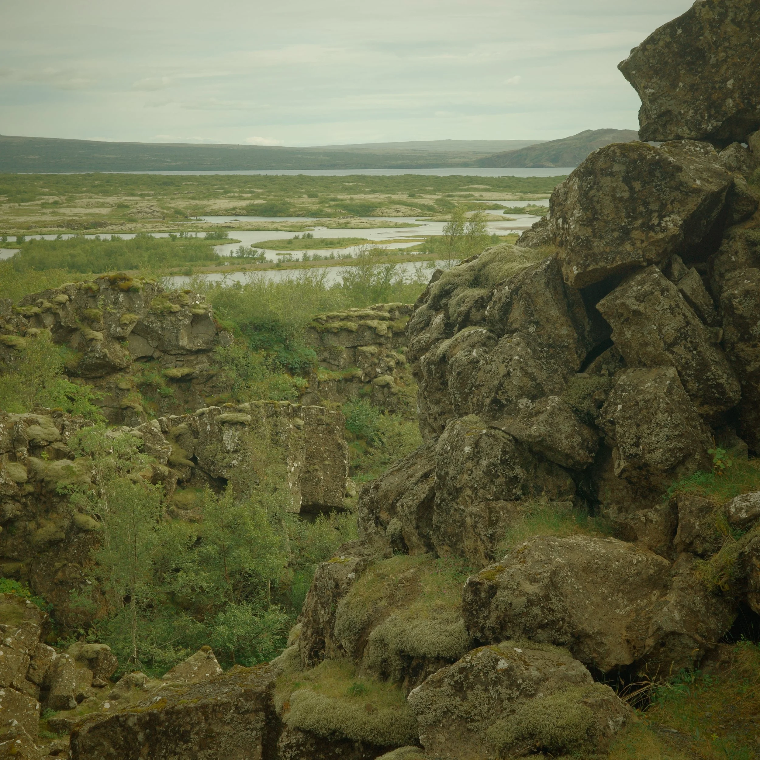 R0005155.JPG