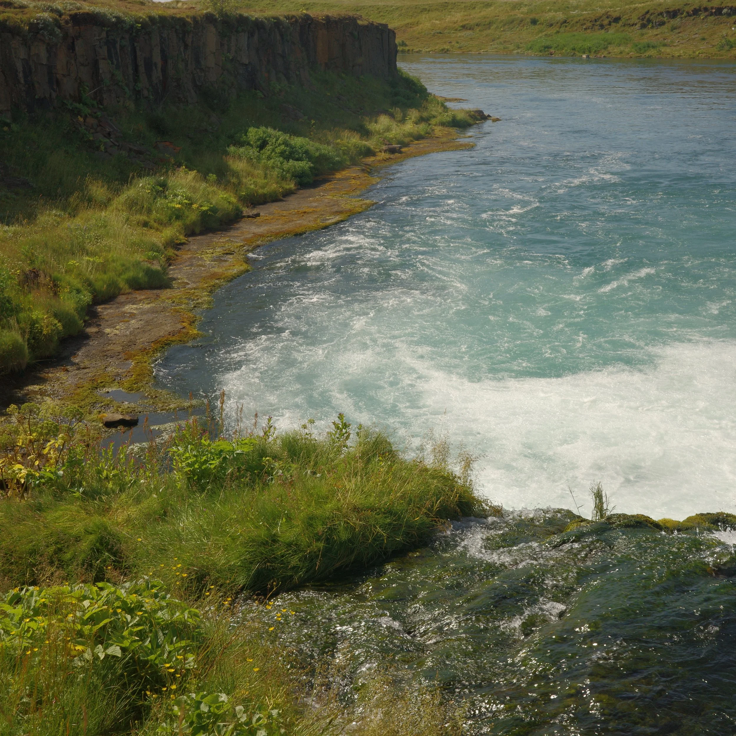 R0005310.JPG