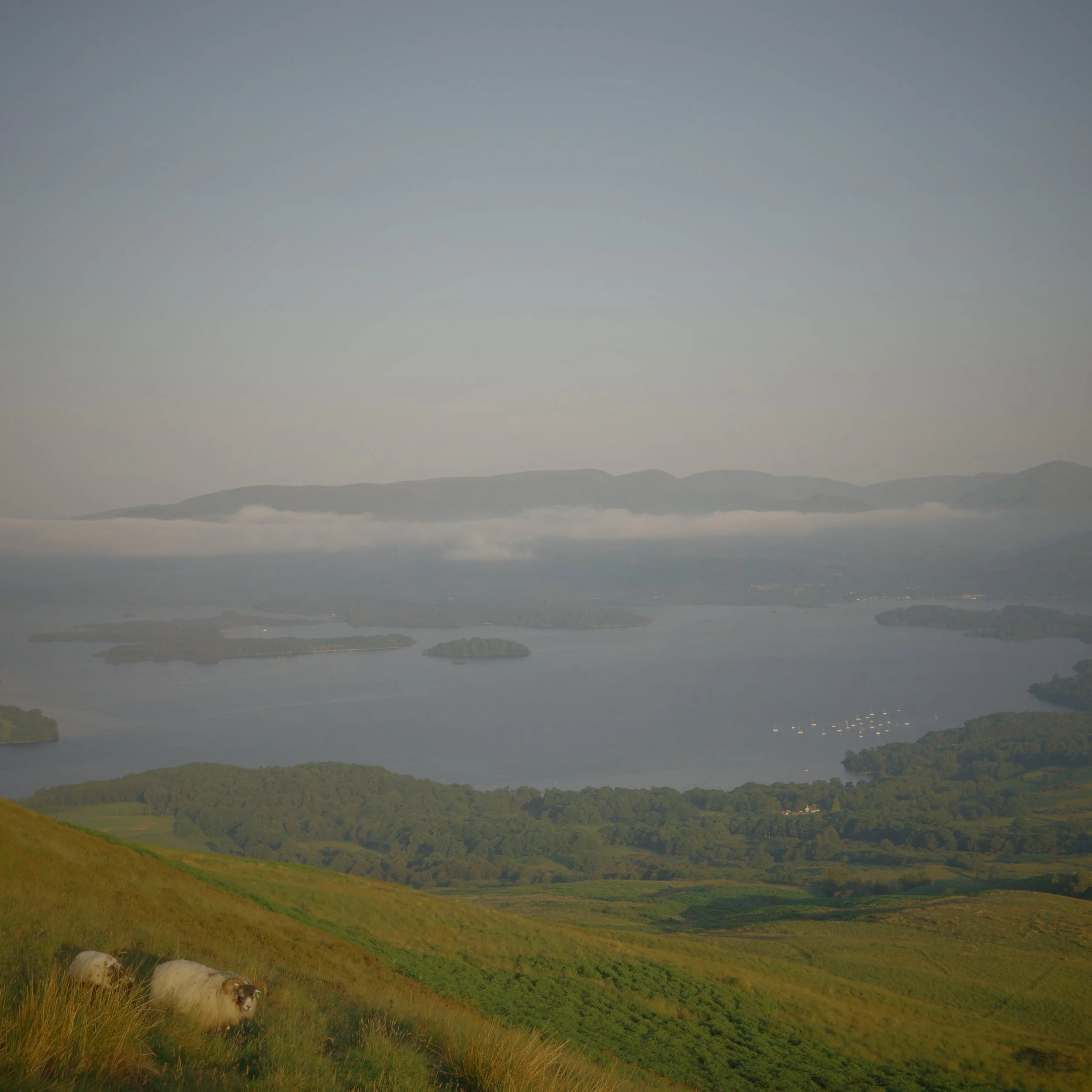 R0003779.JPG