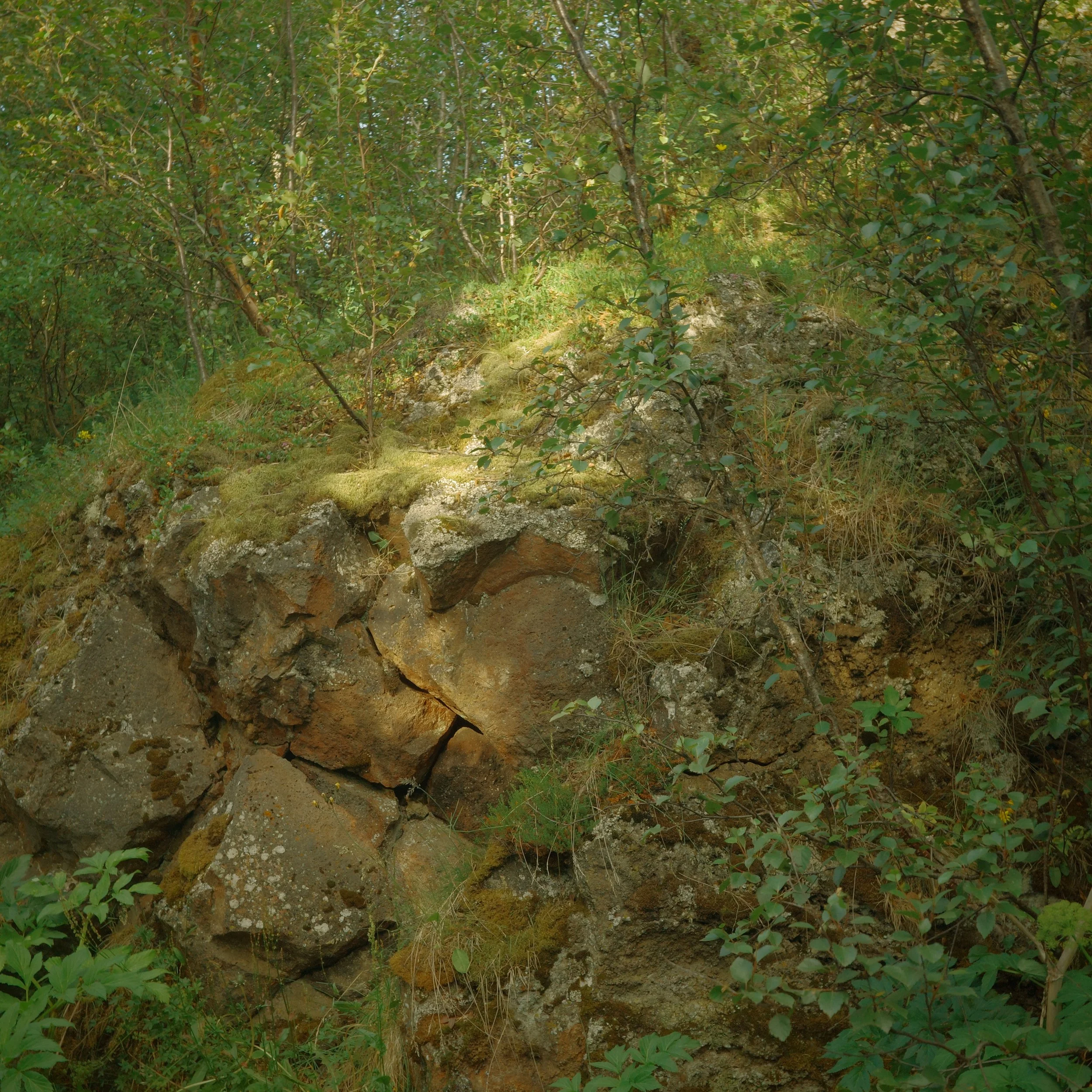 R0006946.JPG