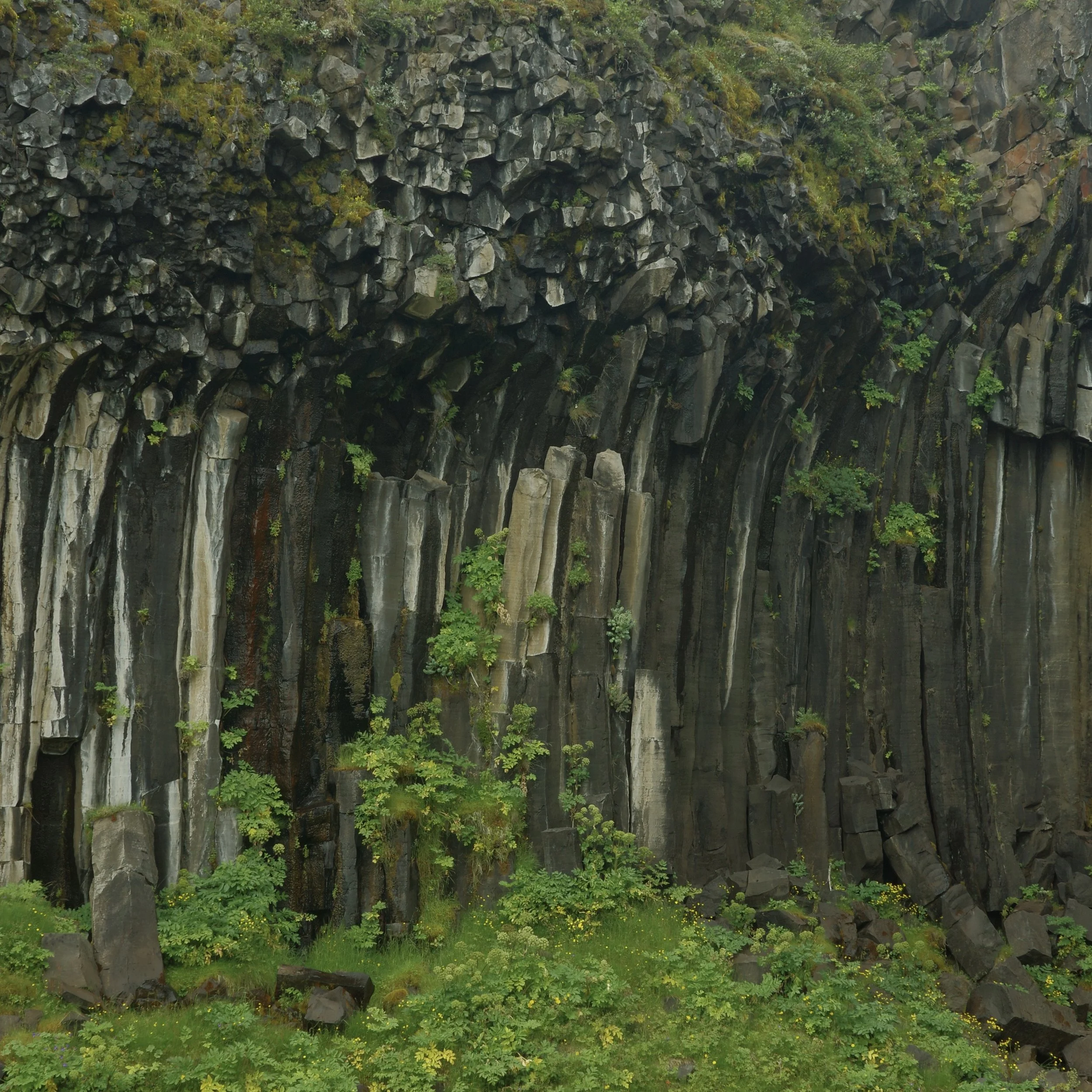 R0005785 2.jpg