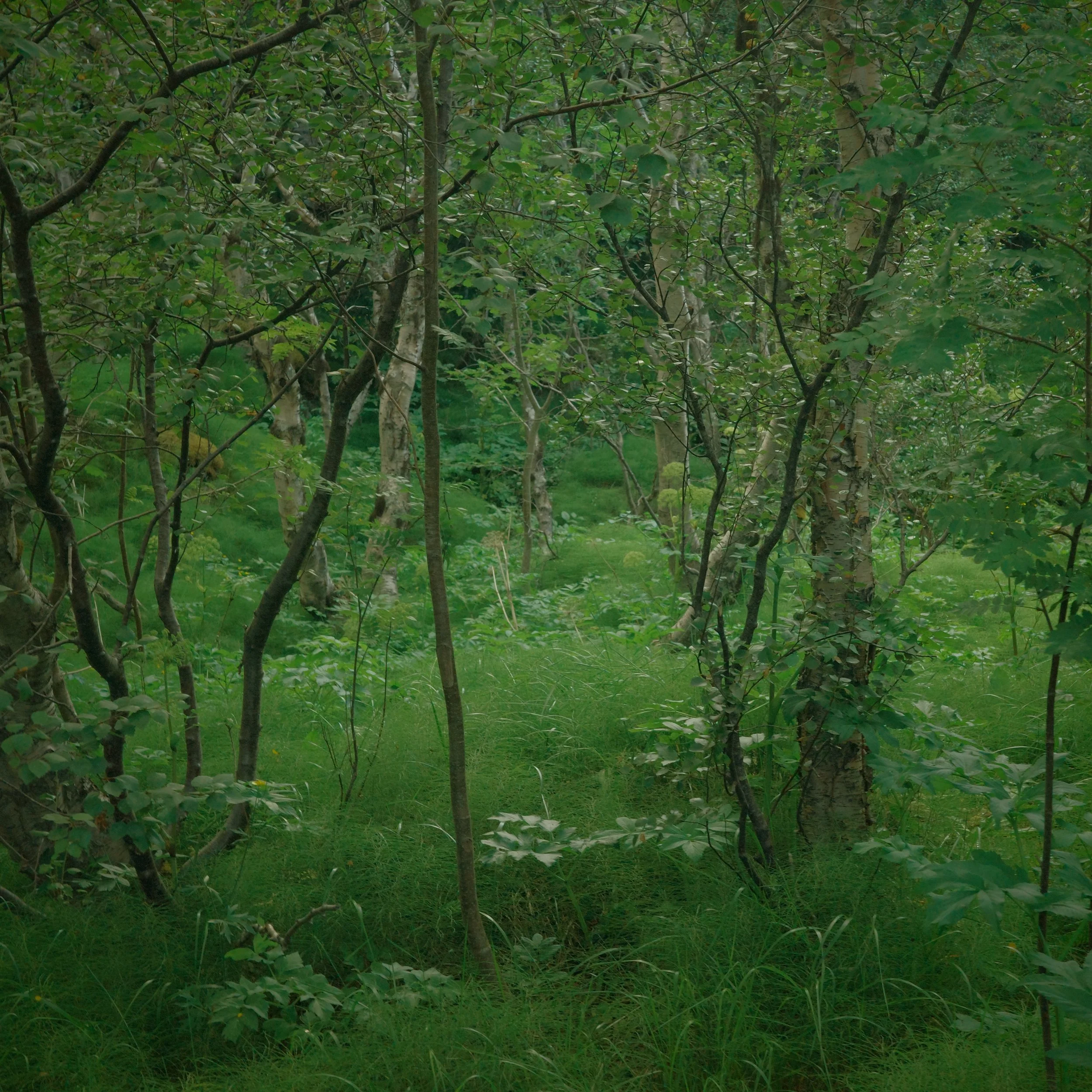 R0006948.JPG
