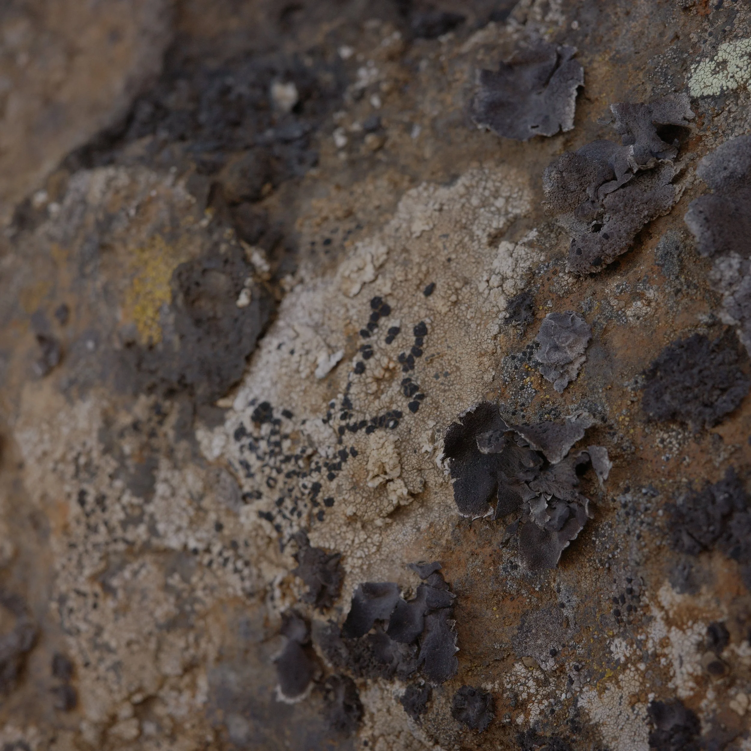 R0006677.JPG