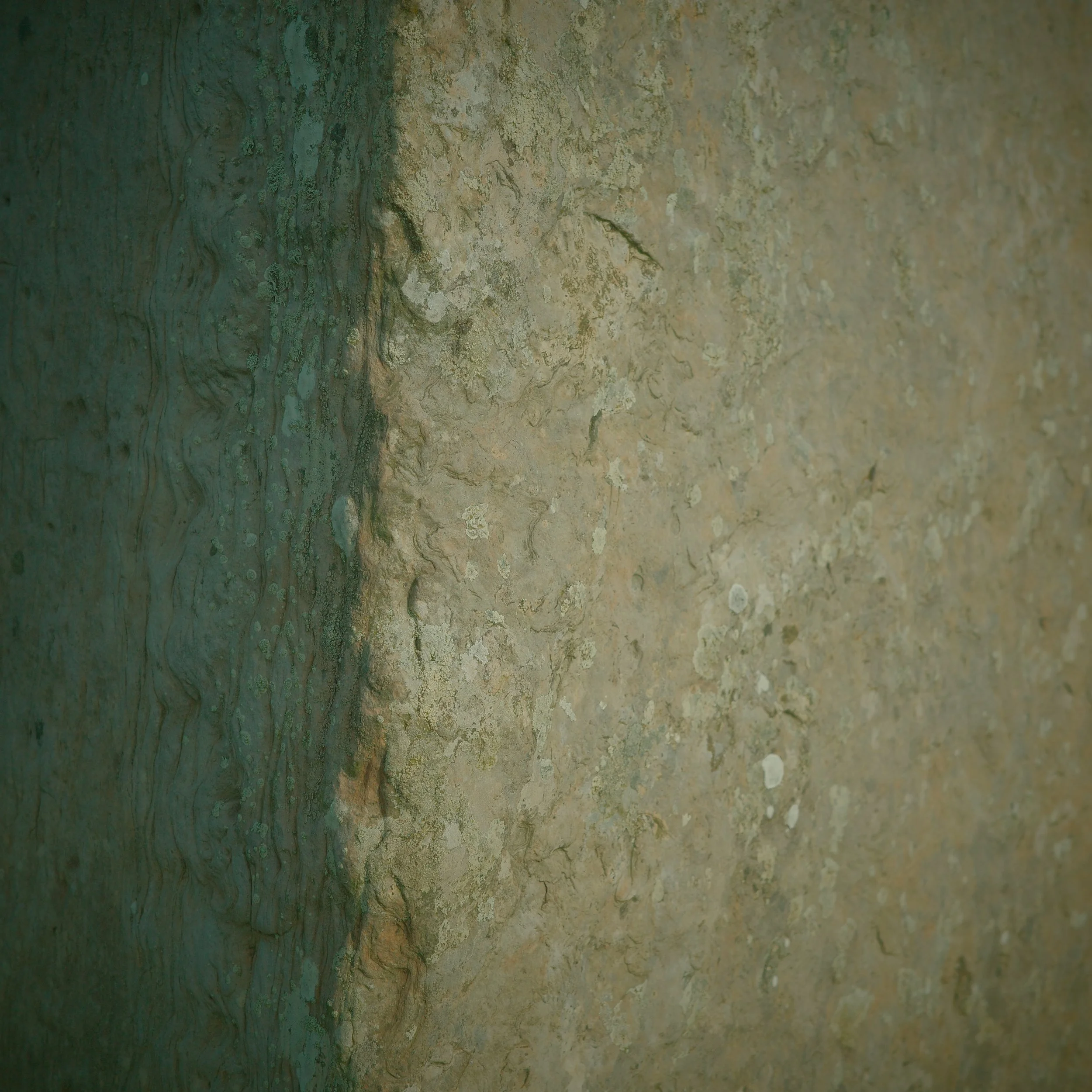 R0004317 2.JPG