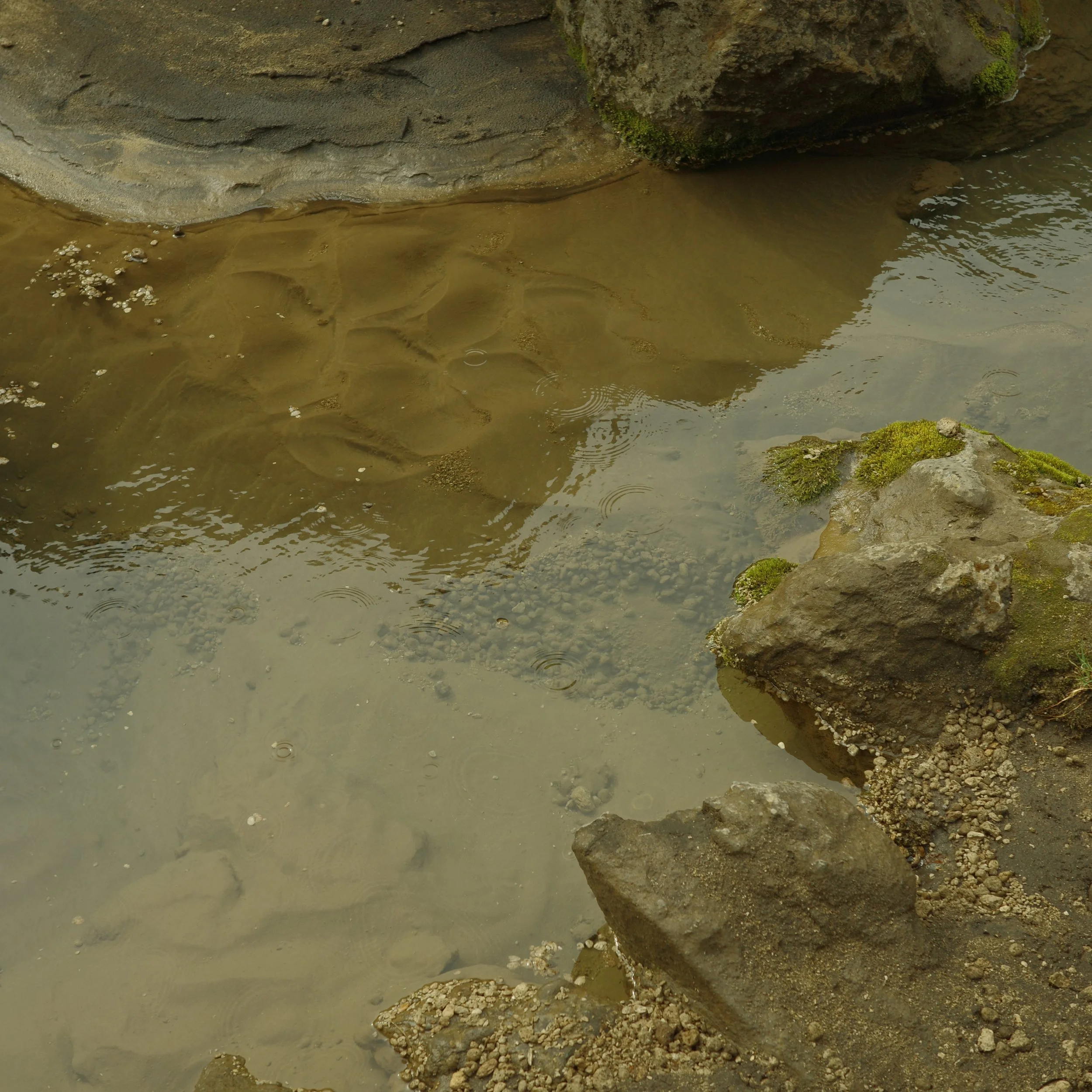 R0007150.JPG