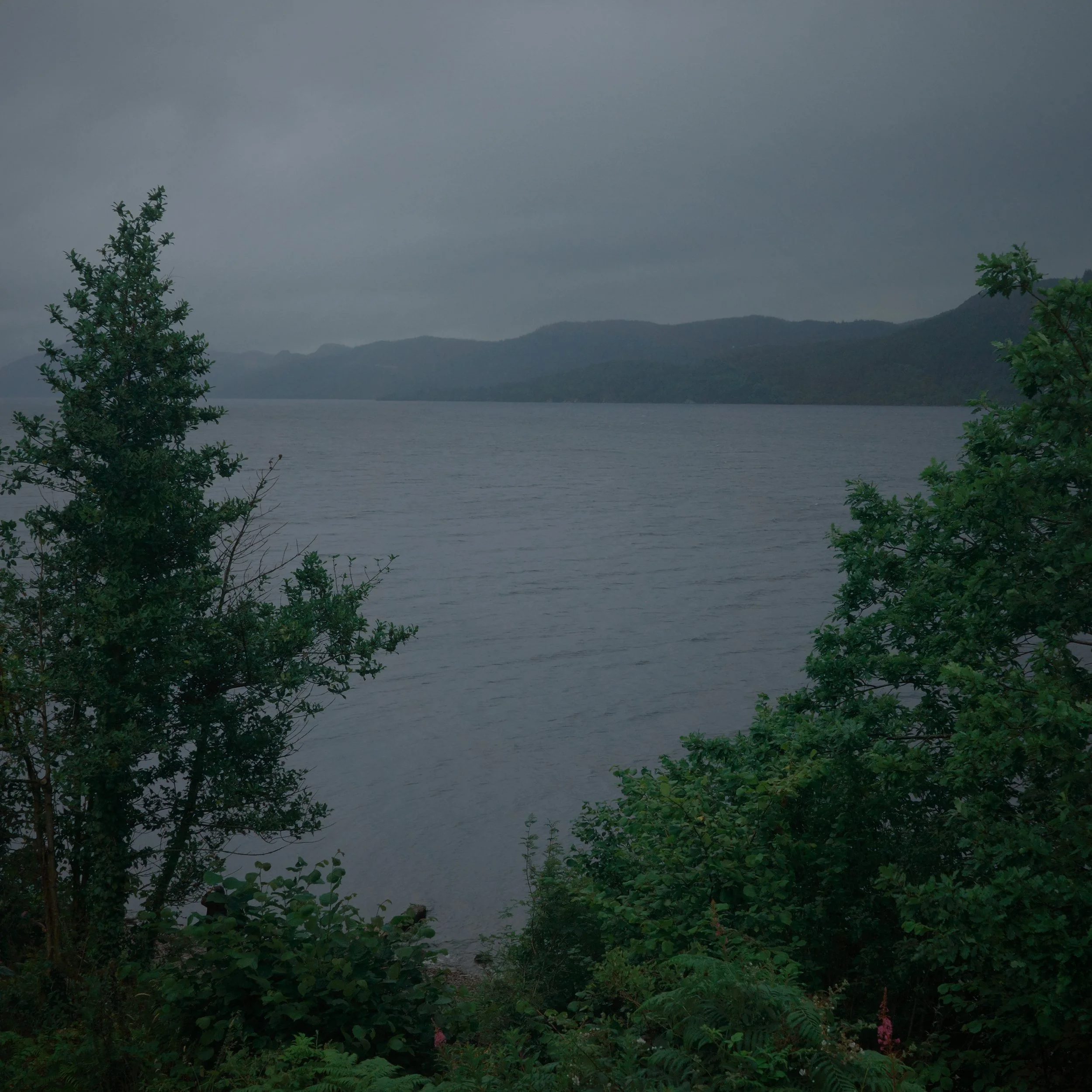 R0004940.JPG